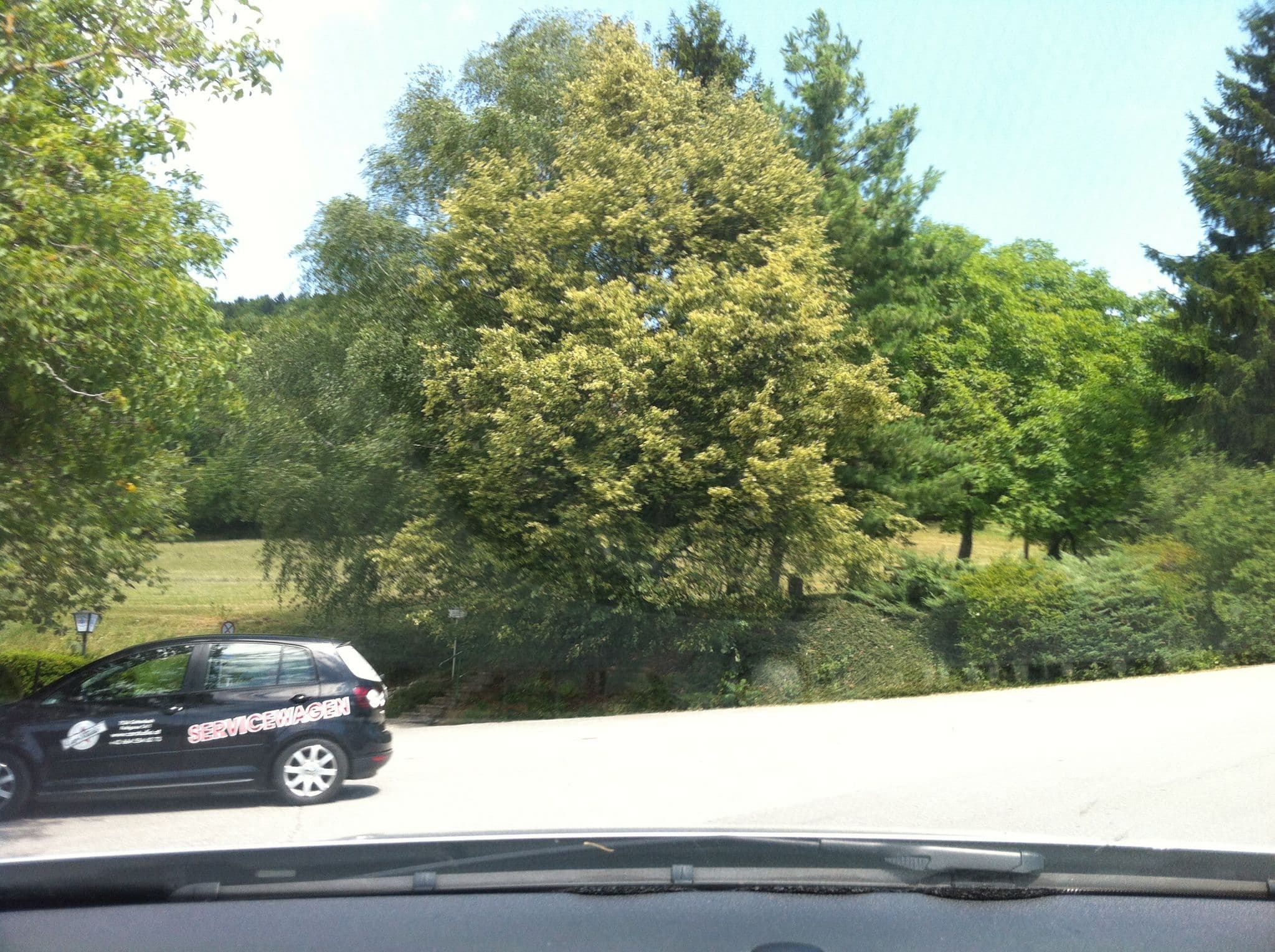 Street view near Ingrid Hildegard Schwarz, Pischelsdorf in der Steiermark — © tswa (CC BY-SA · Mapillary)