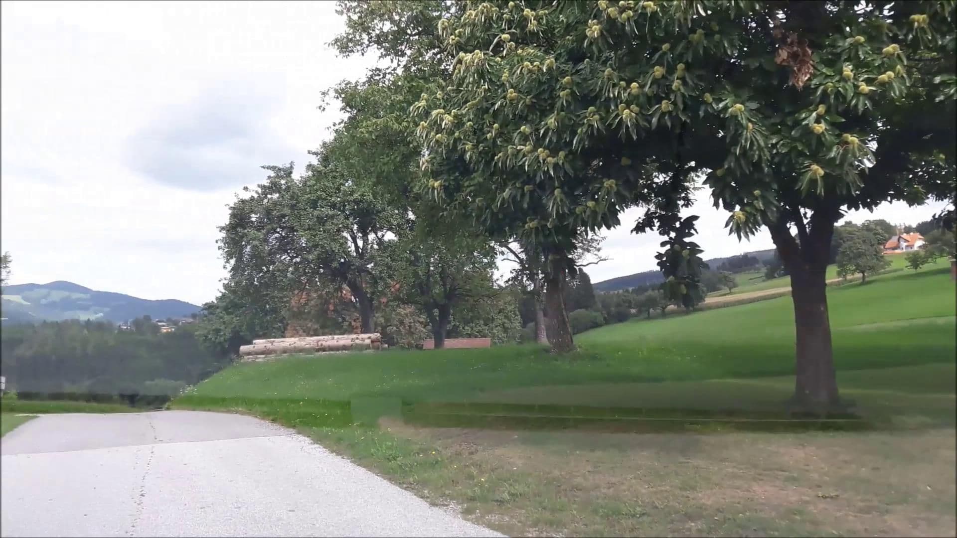 Street view near Bauernhof Hoferpeter, Birkfeld — © stefan147 (CC BY-SA · Mapillary)