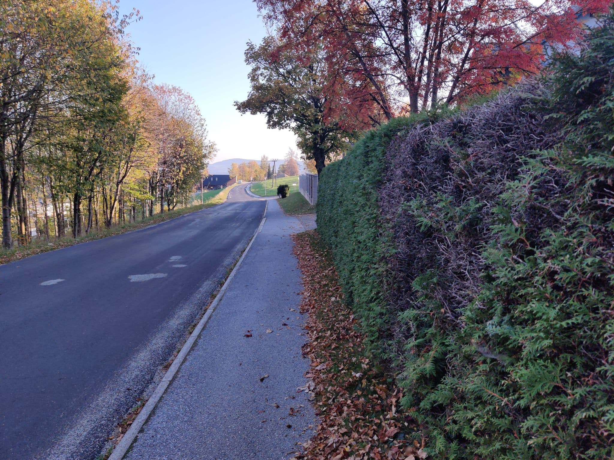 Street view near Franz Zisser, Vorau — © aceini (CC BY-SA · Mapillary)