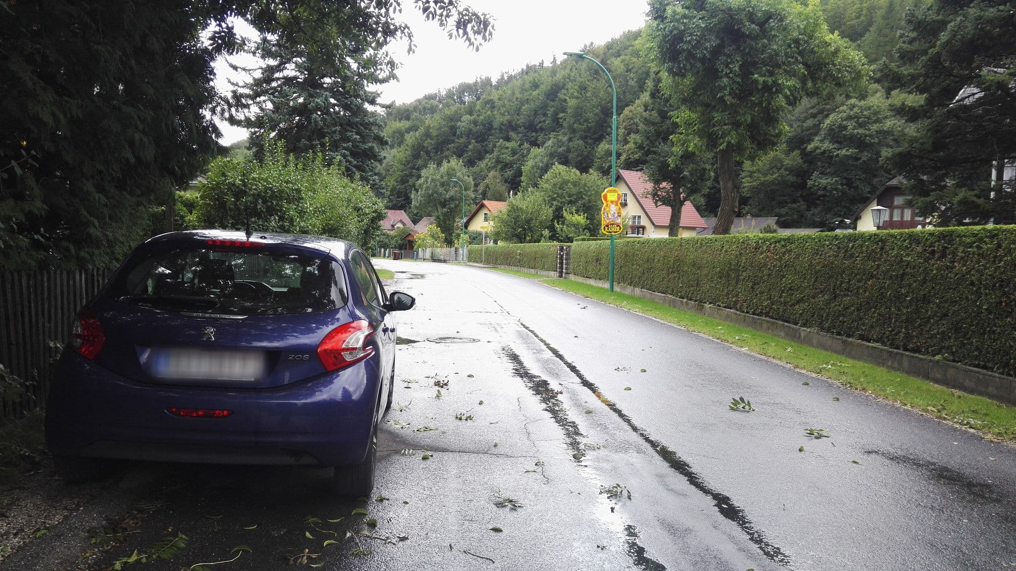 Street view near Villa Sebaldi, Payerbach — © aceini (CC BY-SA · Mapillary)
