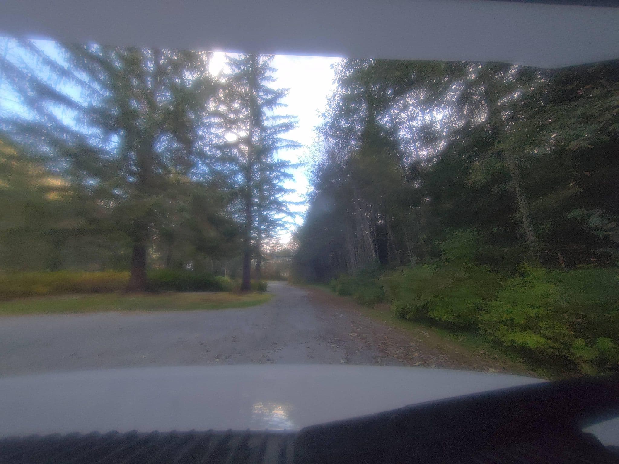 Street view near Bear River RV Park, Terrace — © kibour (CC BY-SA · Mapillary)