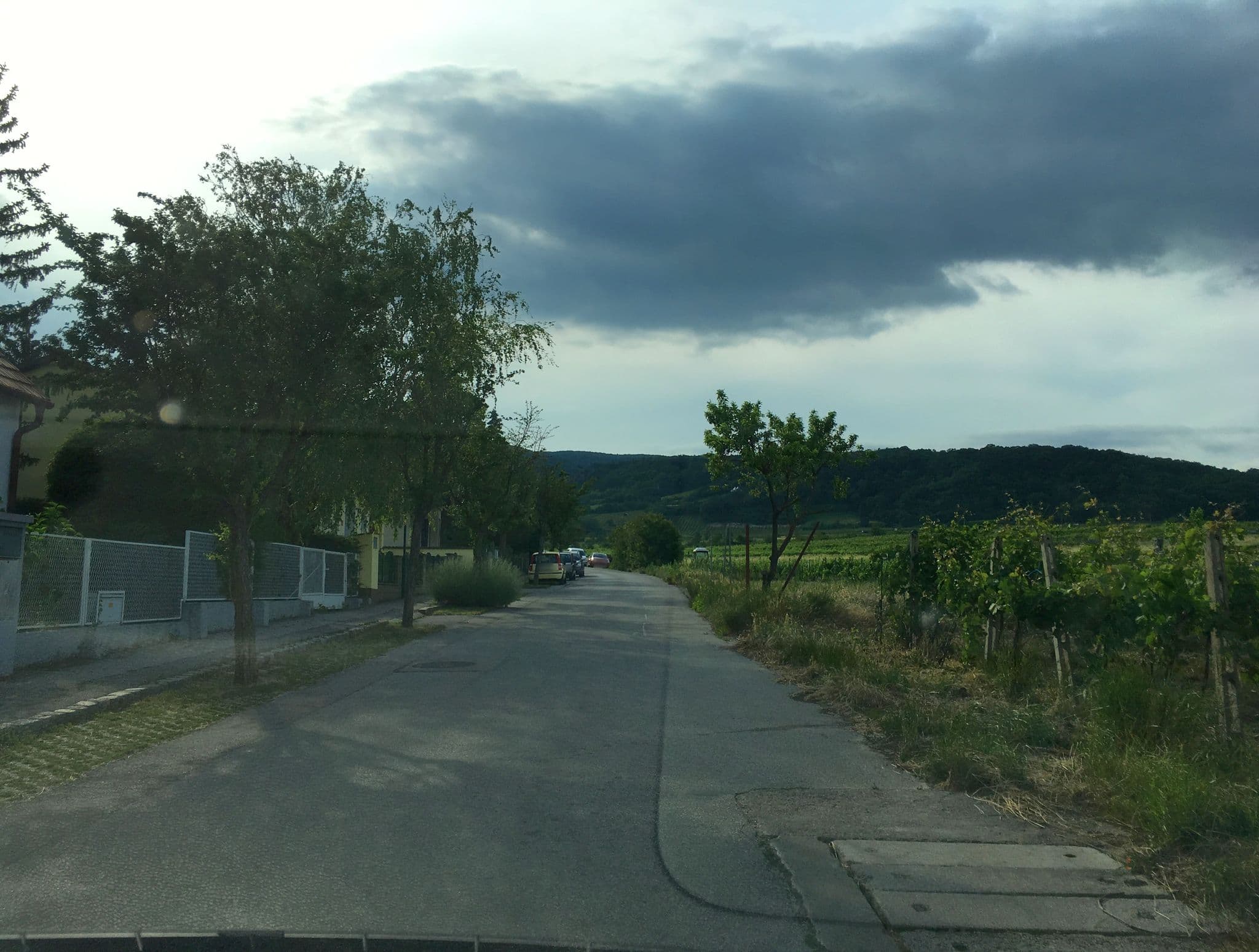 Street view near Reder, Gumpoldskirchen — © istefanos (CC BY-SA · Mapillary)