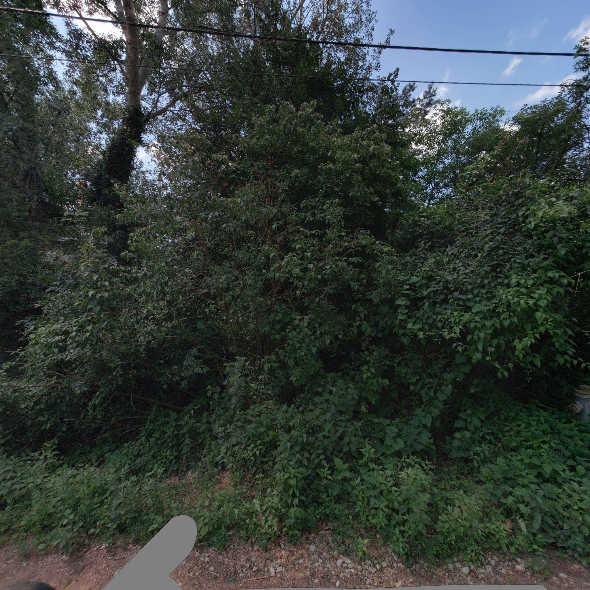 Street view near Gasthaus Prumüller, Aspern — © eliasgander (CC BY-SA · Mapillary)