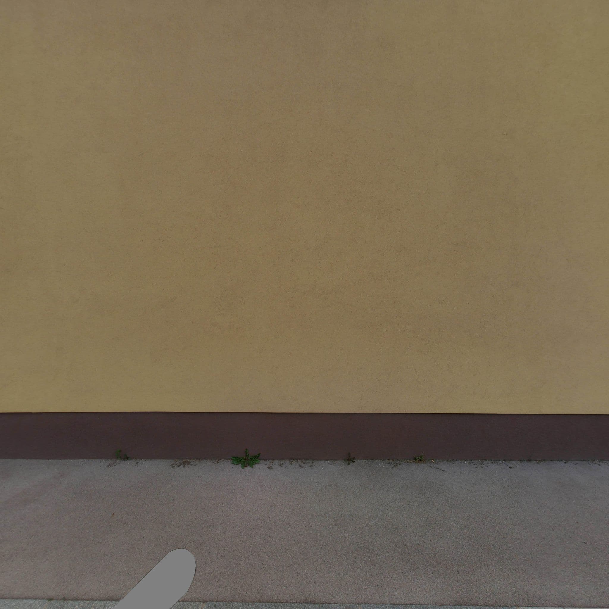 Street view near Garten-Sauna Breitenlee, Donaustadt — © eliasgander (CC BY-SA · Mapillary)