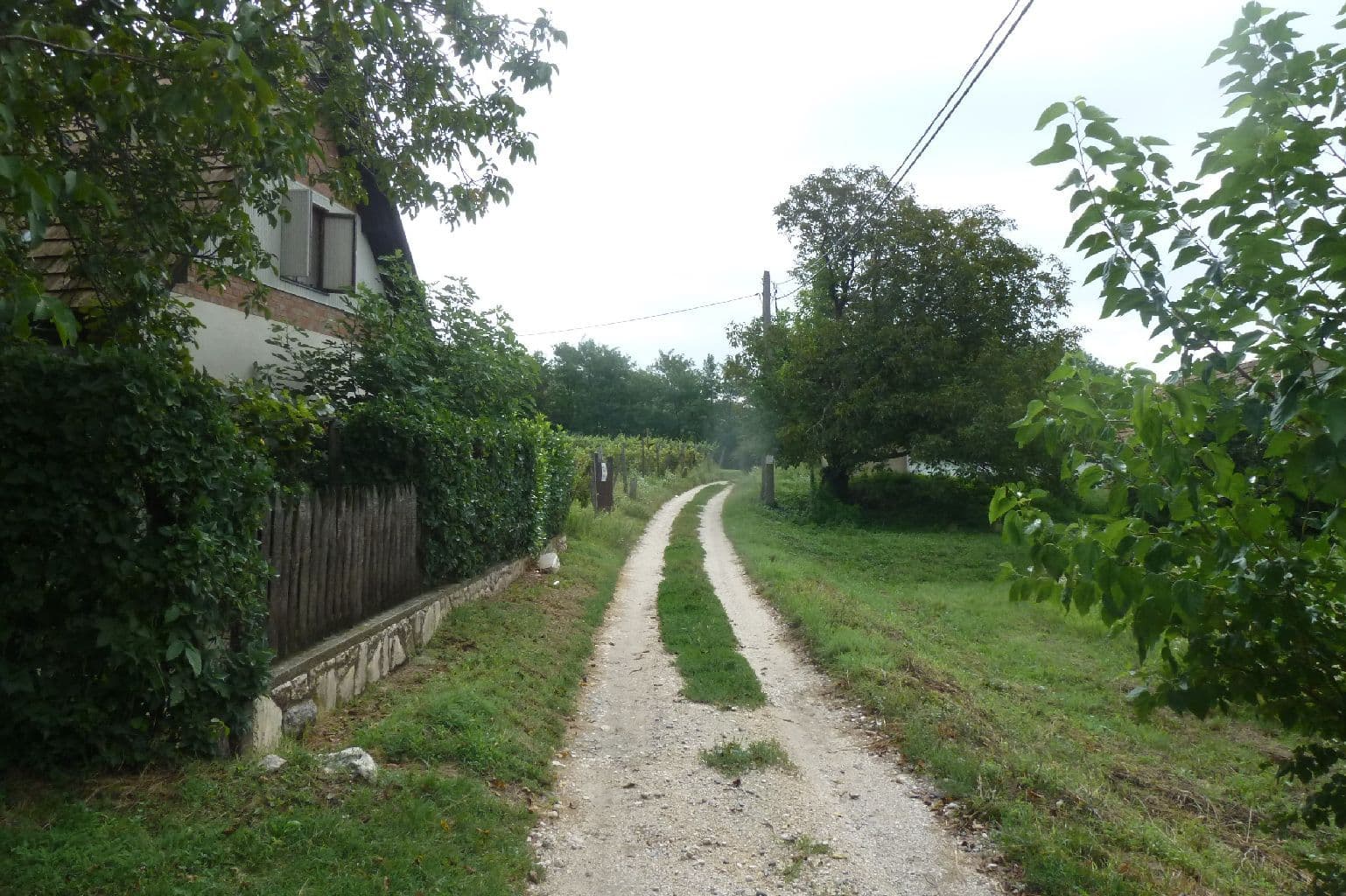 Street view near Tenkes Wellness Apartman Siklós, Siklós — © izsolt (CC BY-SA · Mapillary)