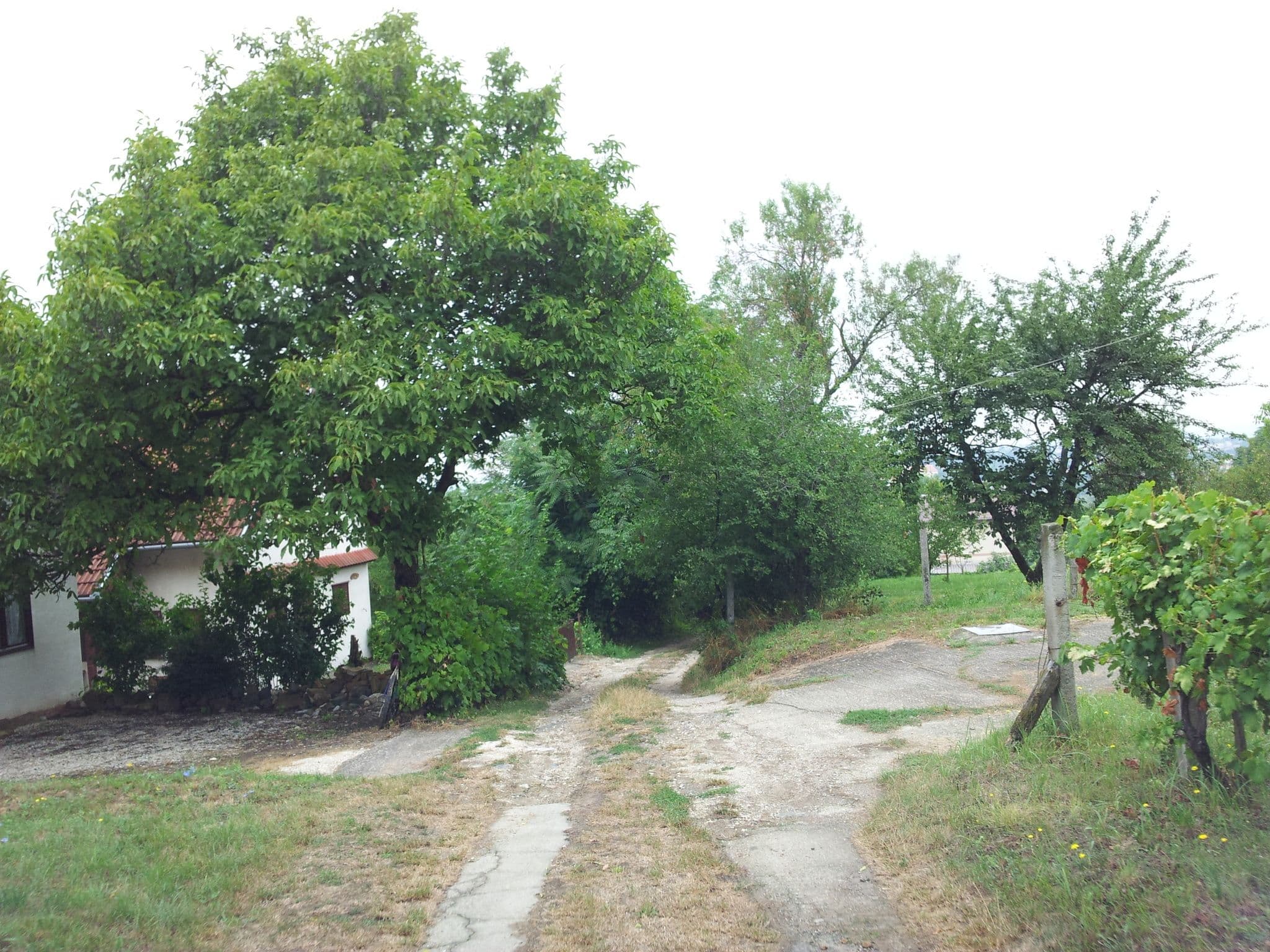 Street view near Kékcsengő Vendégház, Tamási — © kolesajr (CC BY-SA · Mapillary)
