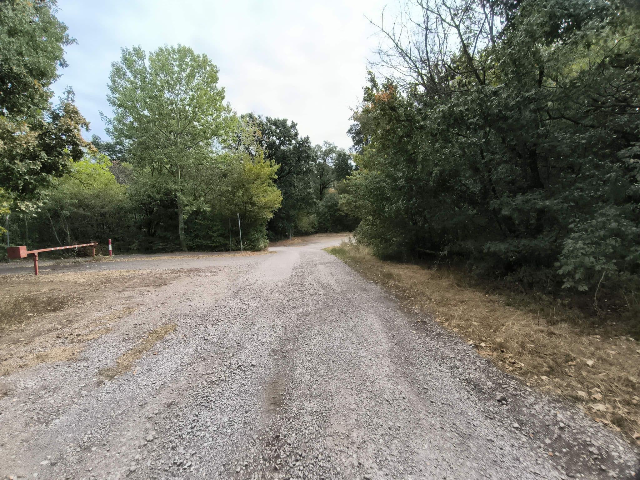 Street view near Mecsek Gyöngye Apartmanház, Pécs — © SoToS77 (CC BY-SA · Mapillary)
