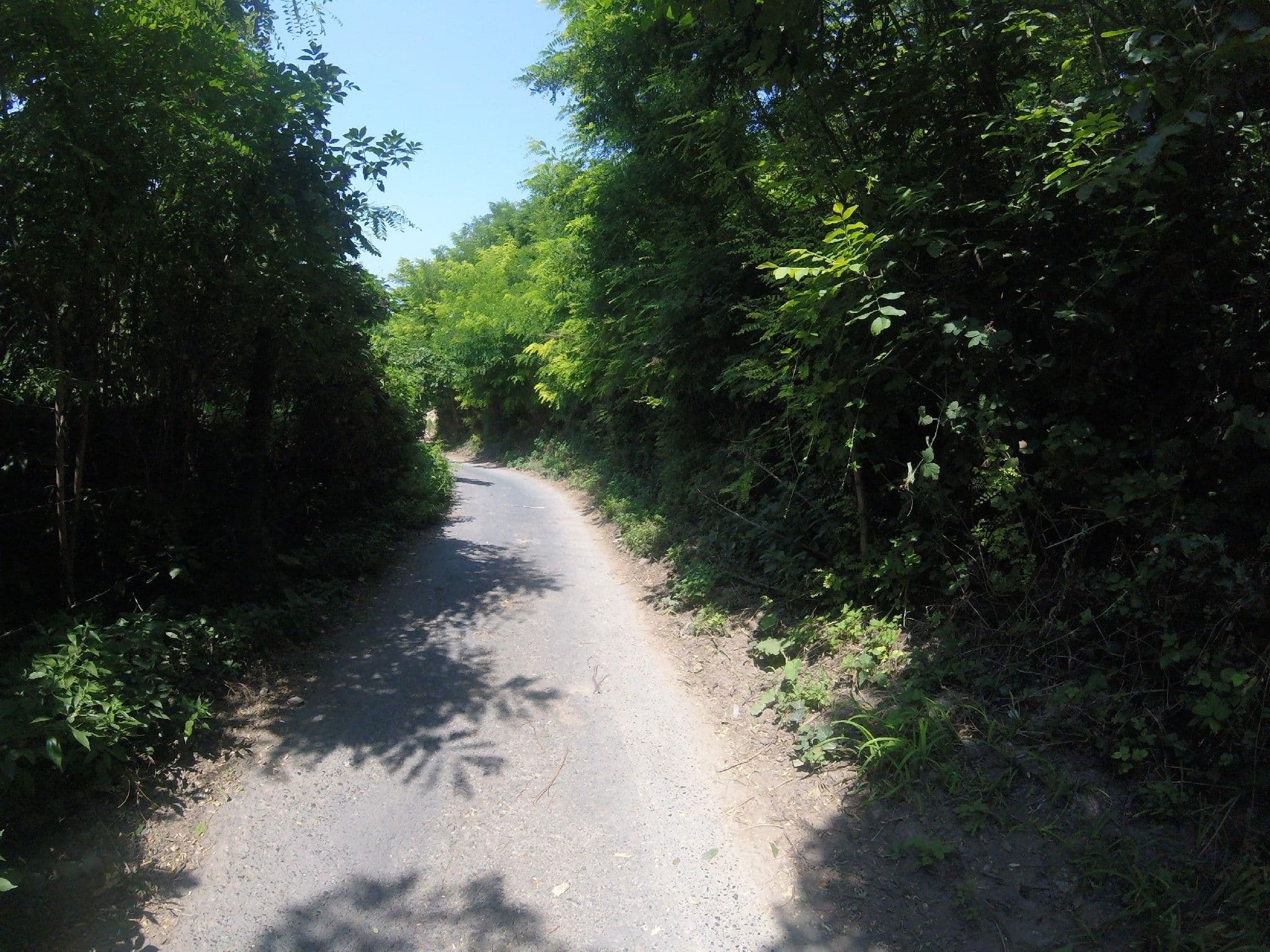 Street view near Badacsony Vendégház, Badacsonytomaj — © utvonalfelmeresek (CC BY-SA · Mapillary)