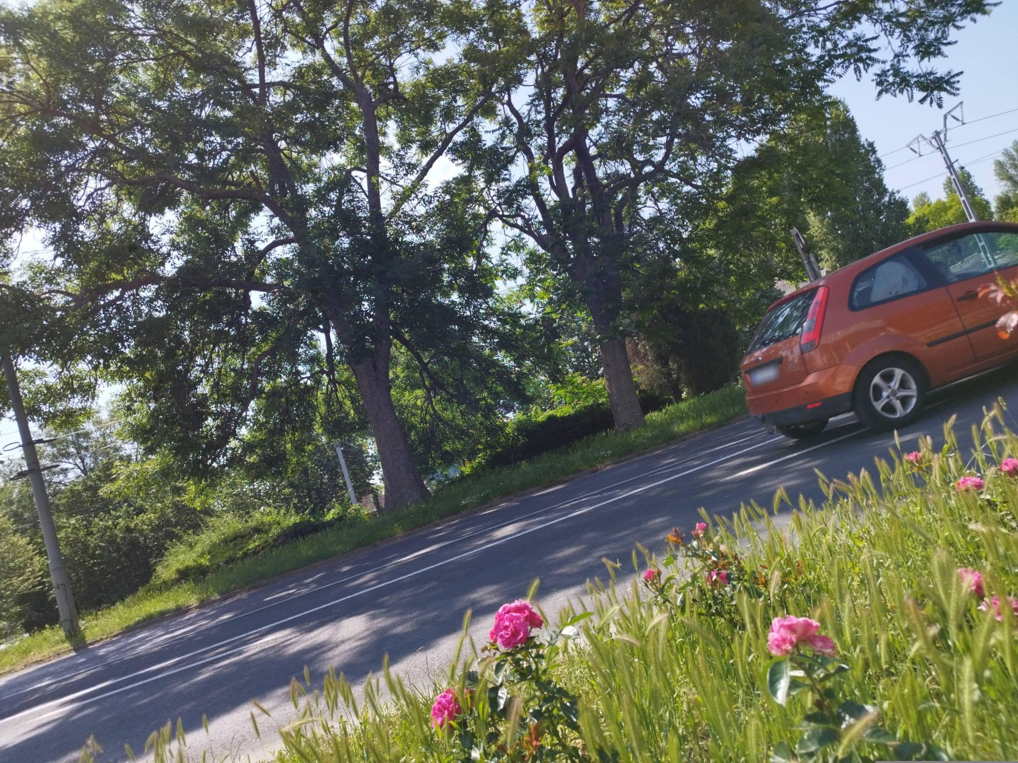 Street view near Congeria Panzio, Alsóörs — © grozsa11 (CC BY-SA · Mapillary)
