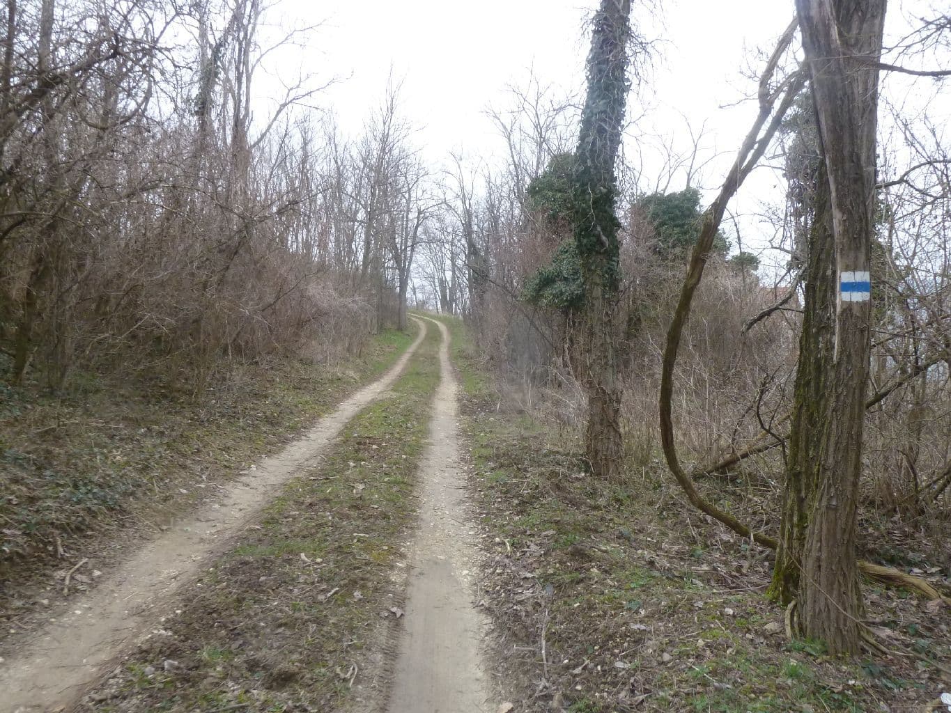 Street view near Bakos Pincészet Csobánc Bástya és Borterasz, Tapolca — © izsolt (CC BY-SA · Mapillary)