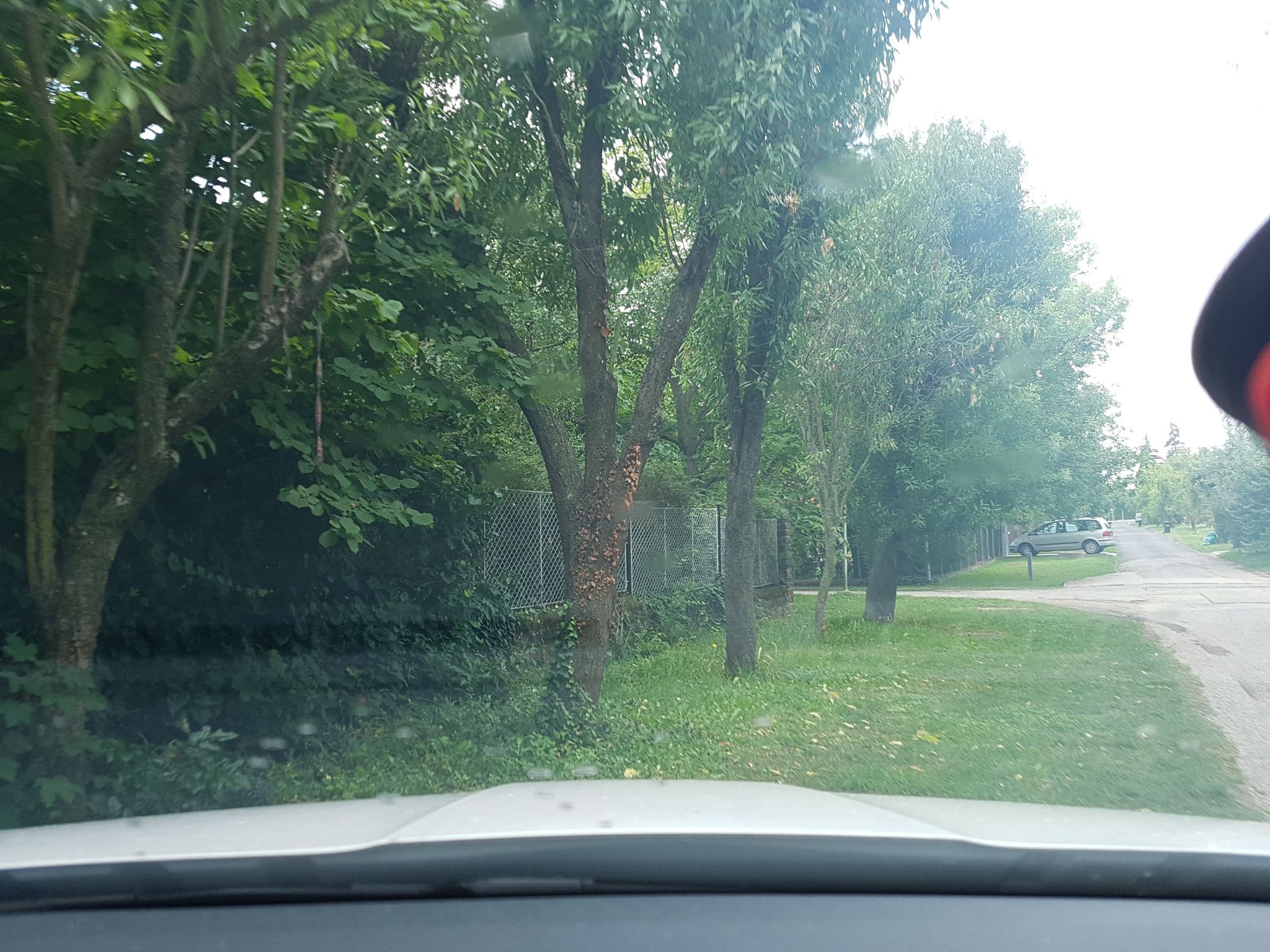Street view near Agnes' Vineyard, Alsóörs — © grin (CC BY-SA · Mapillary)