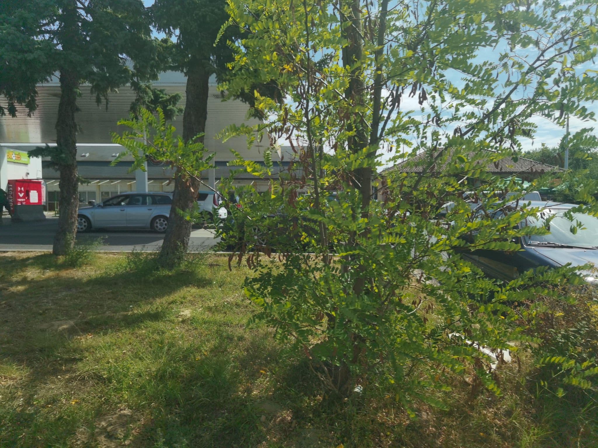 Street view near Apartman a déli parton Szántód, Balatonföldvár — © Gaurdein (CC BY-SA · Mapillary)