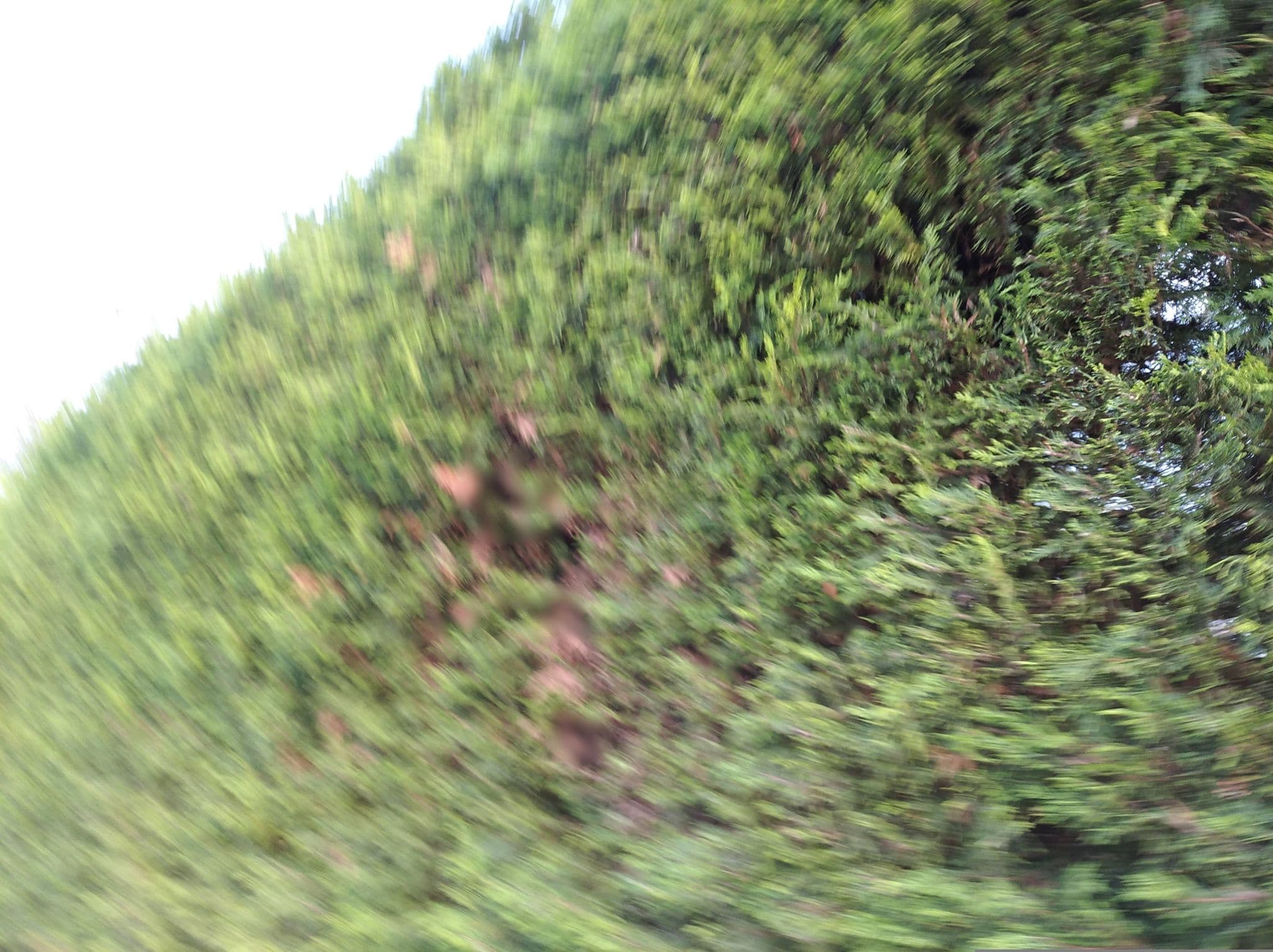 Street view near Panoráma Vendégház, Alsóörs — © grozsa11 (CC BY-SA · Mapillary)