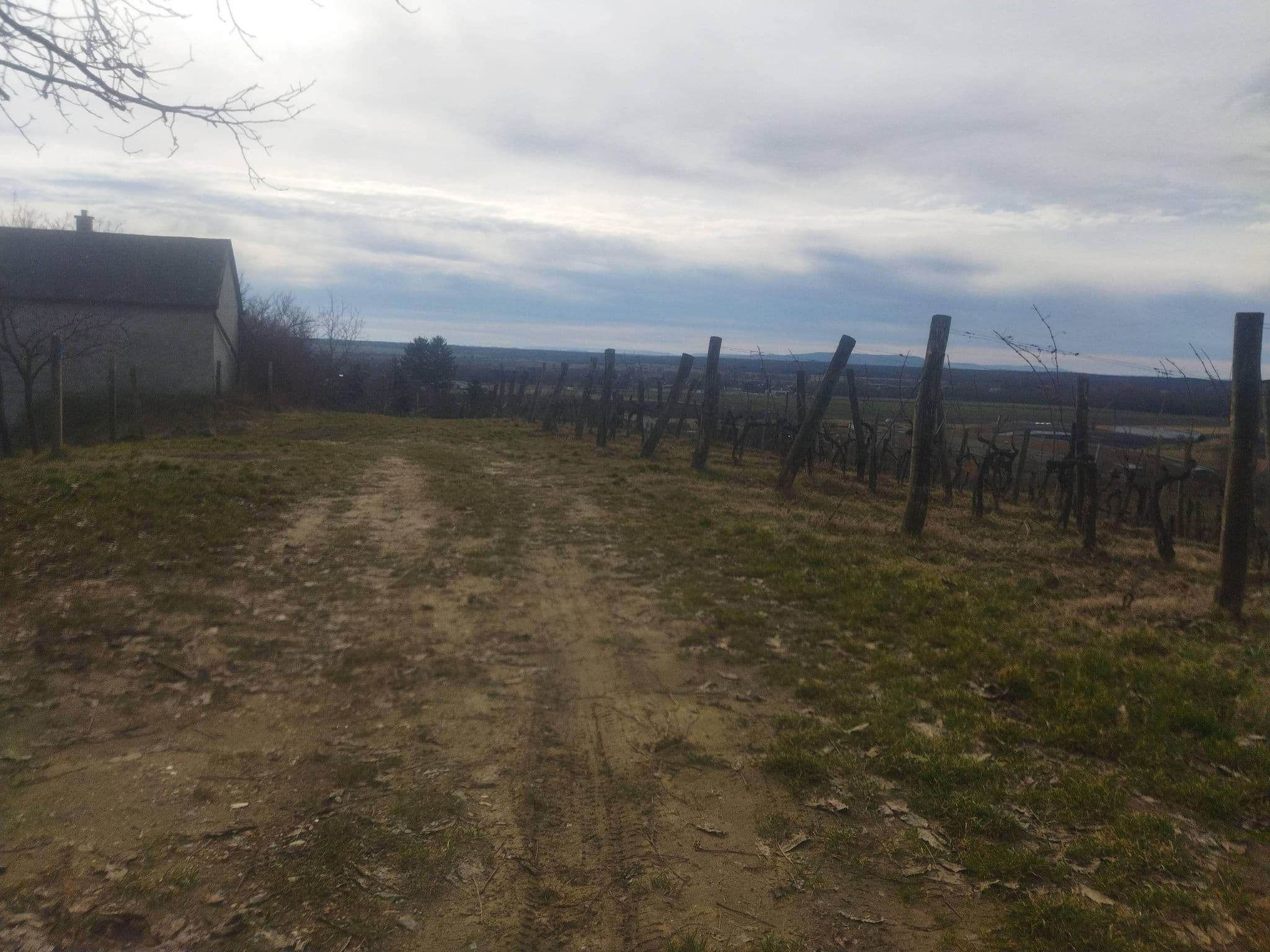 Street view near BencePince Vendégház, Devecser — © mmate (CC BY-SA · Mapillary)