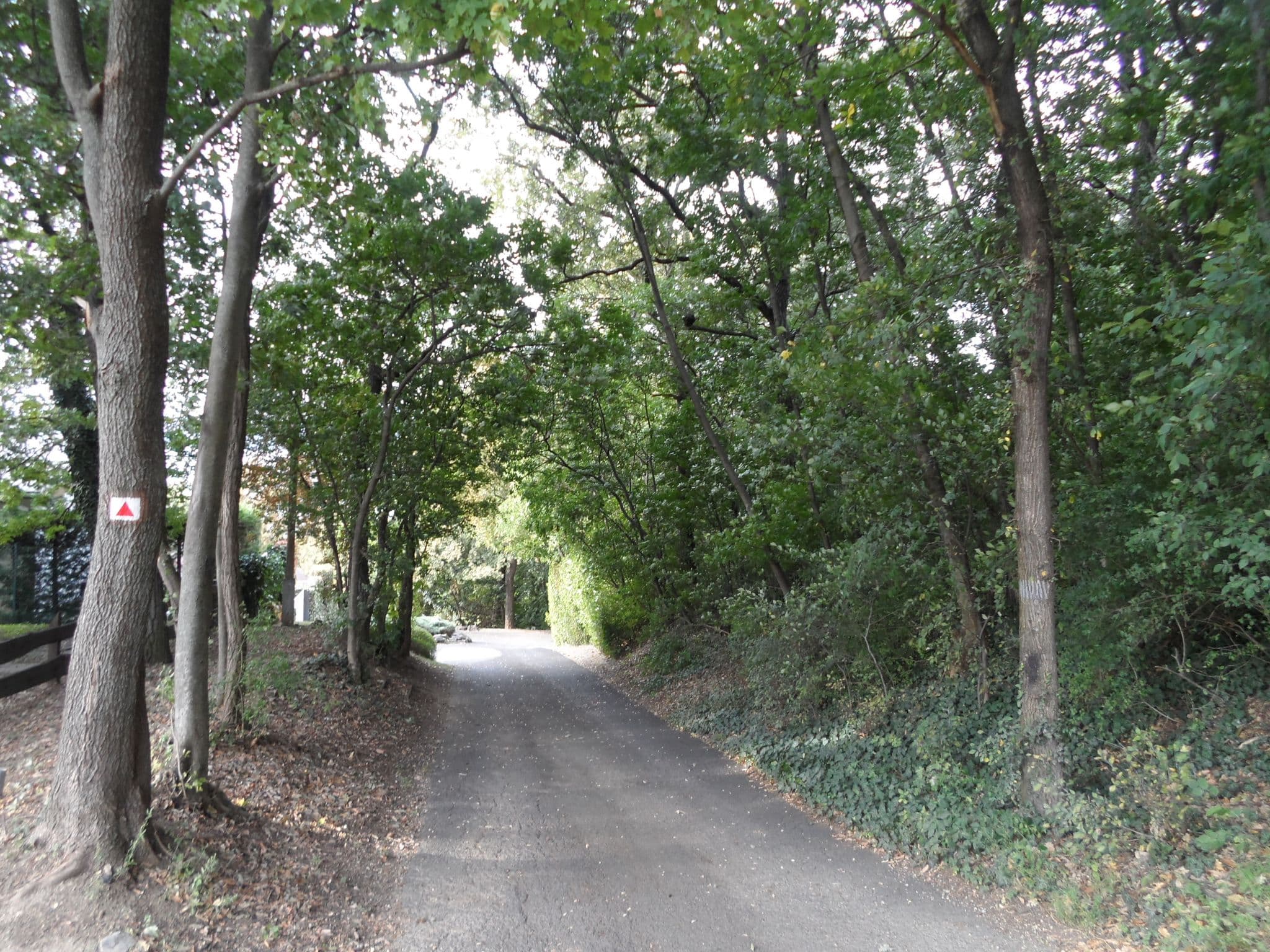Street view near Hilltop Apartments, Fonyód — © fodor8peter (CC BY-SA · Mapillary)