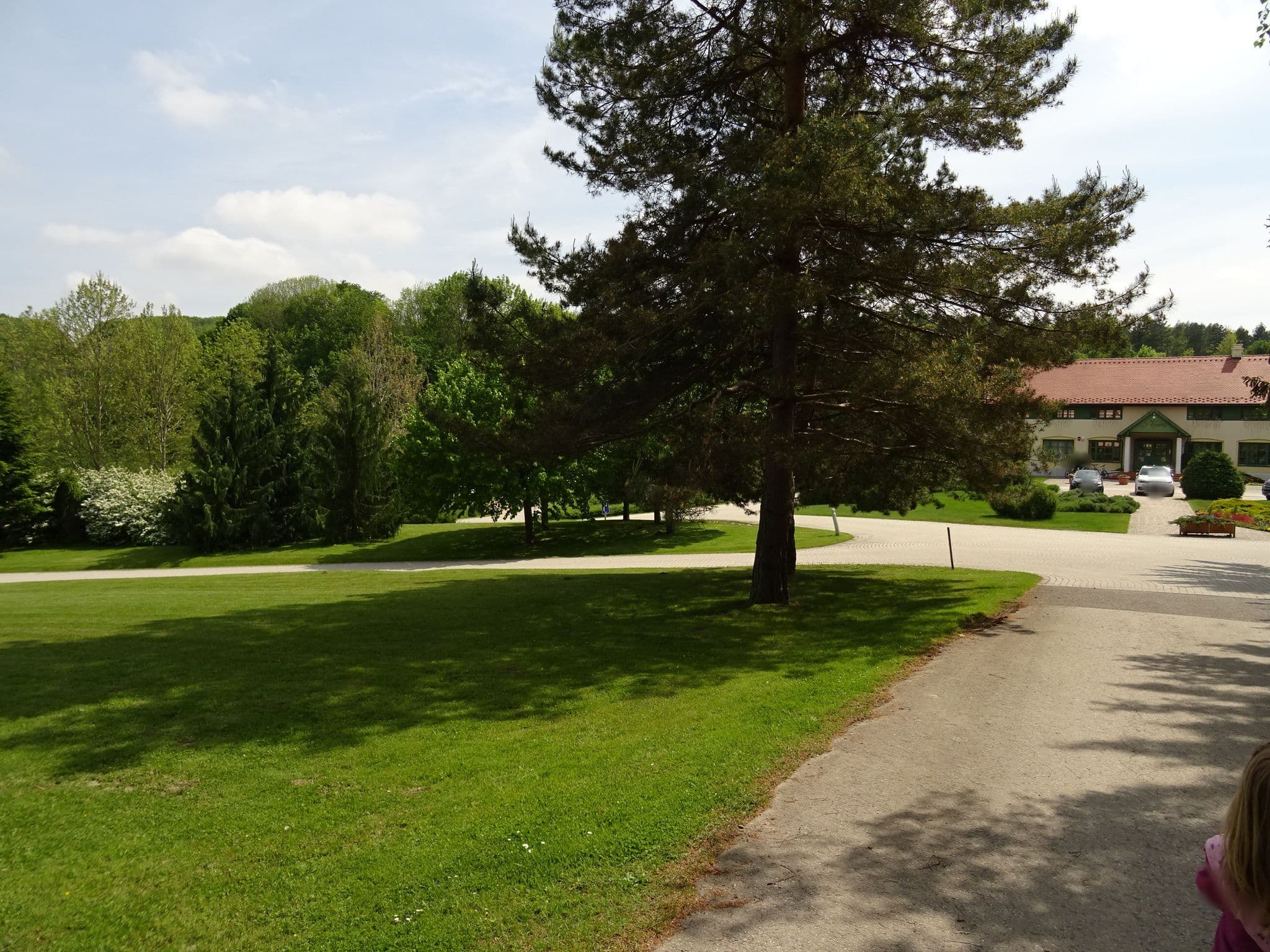 Street view near Szépalma Hotel, Zirc — © izsolt (CC BY-SA · Mapillary)