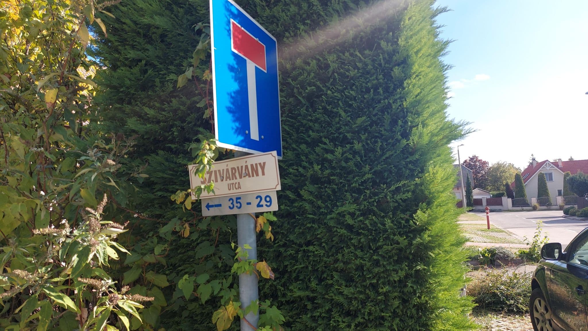 Street view near Levendula Apartman, Balatonfüred — © vasony (CC BY-SA · Mapillary)
