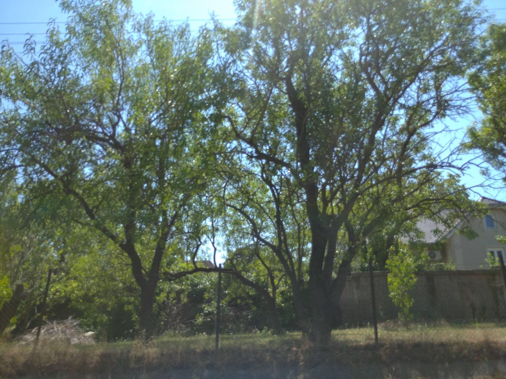 Street view near Manor, Csopak — © grozsa11 (CC BY-SA · Mapillary)