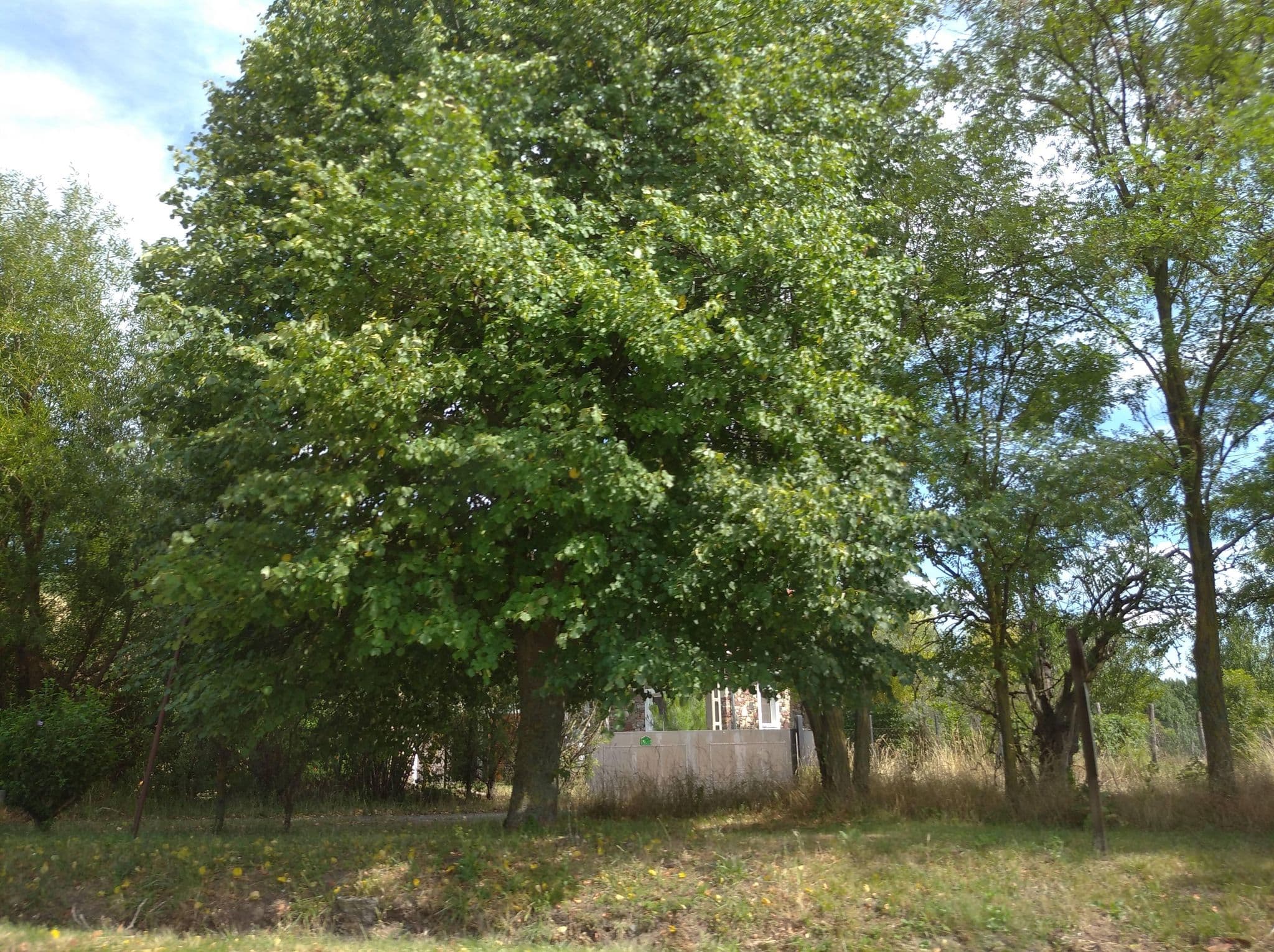 Street view near Napraforgó Turistaszálló Szentbékkálla, Révfülöp — © grozsa11 (CC BY-SA · Mapillary)