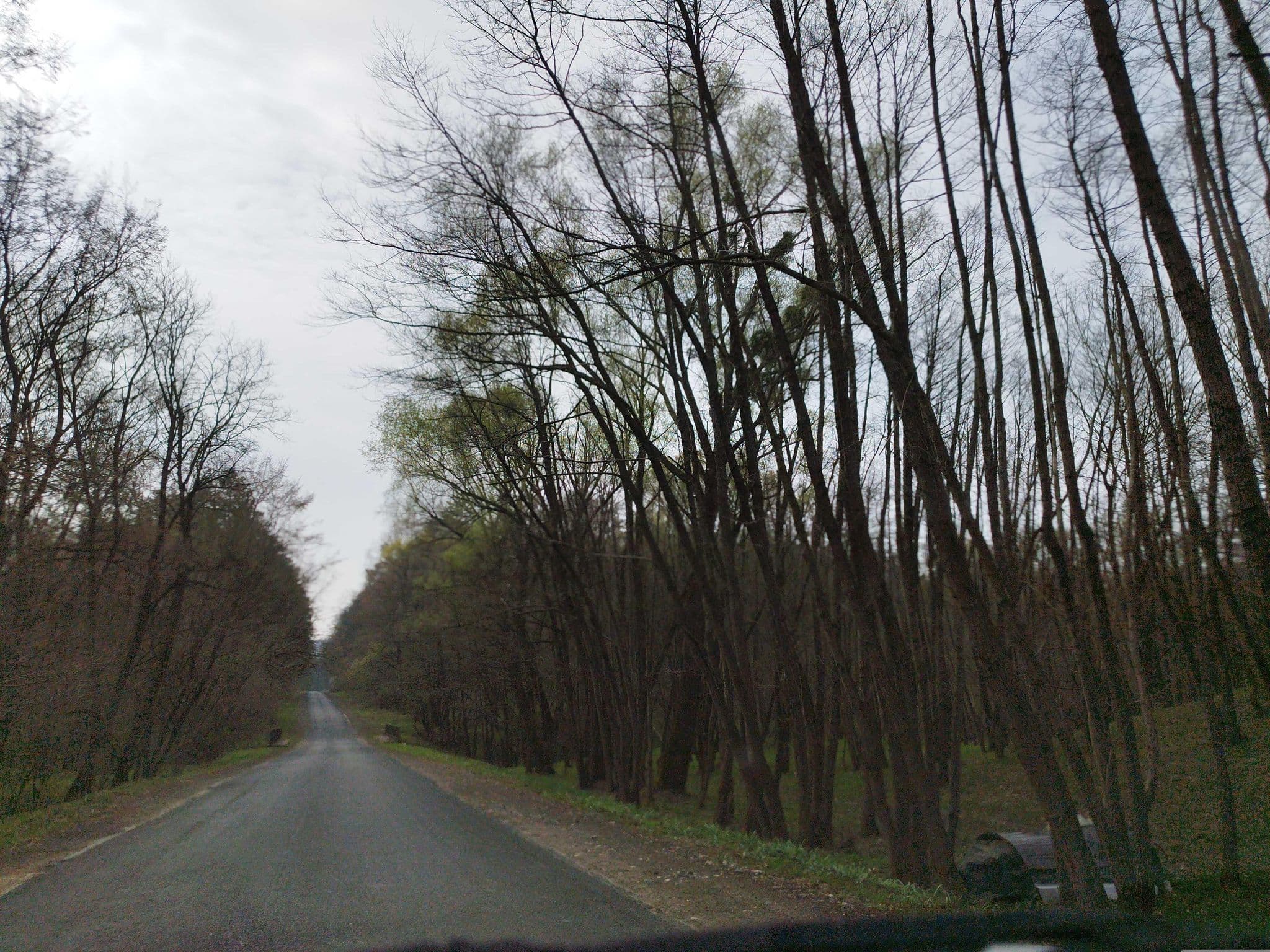 Street view near Bakony Deep Forest vendégház, Bakonyszentlászló — © grozsa11 (CC BY-SA · Mapillary)