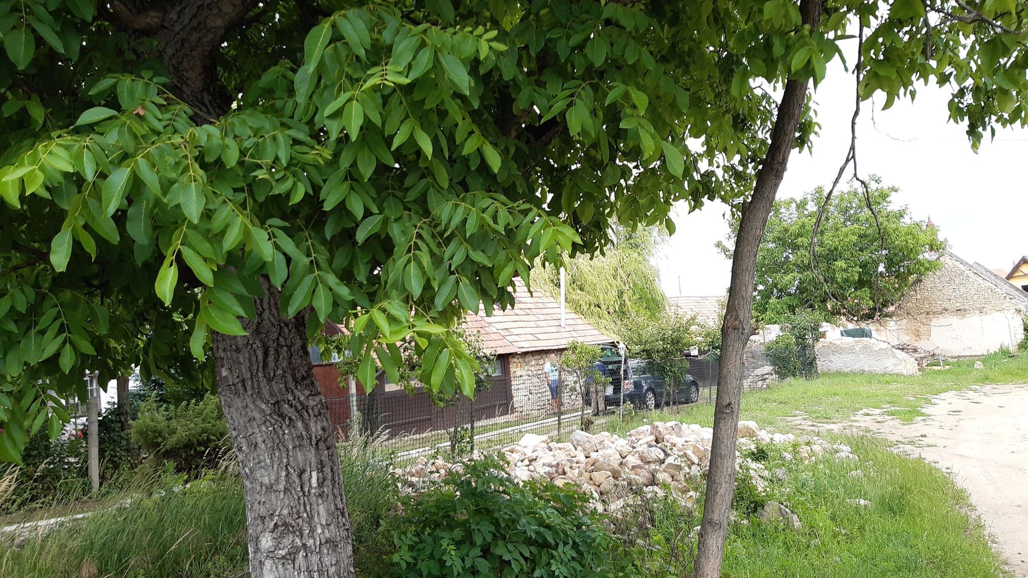 Street view near Martínez rezidencia, Zánka — © vasony (CC BY-SA · Mapillary)