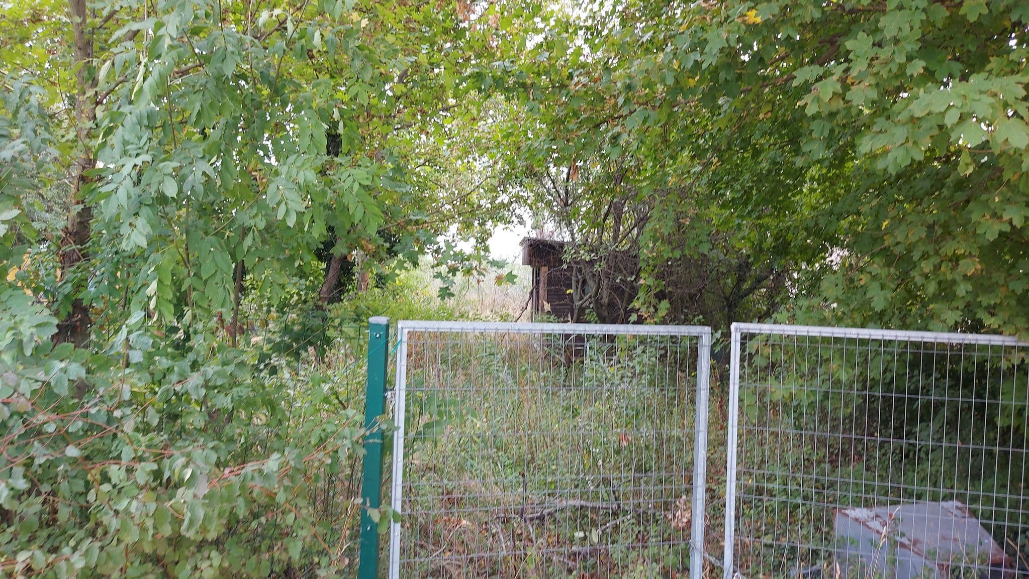 Street view near Nádas-faház, Csopak — © vasony (CC BY-SA · Mapillary)