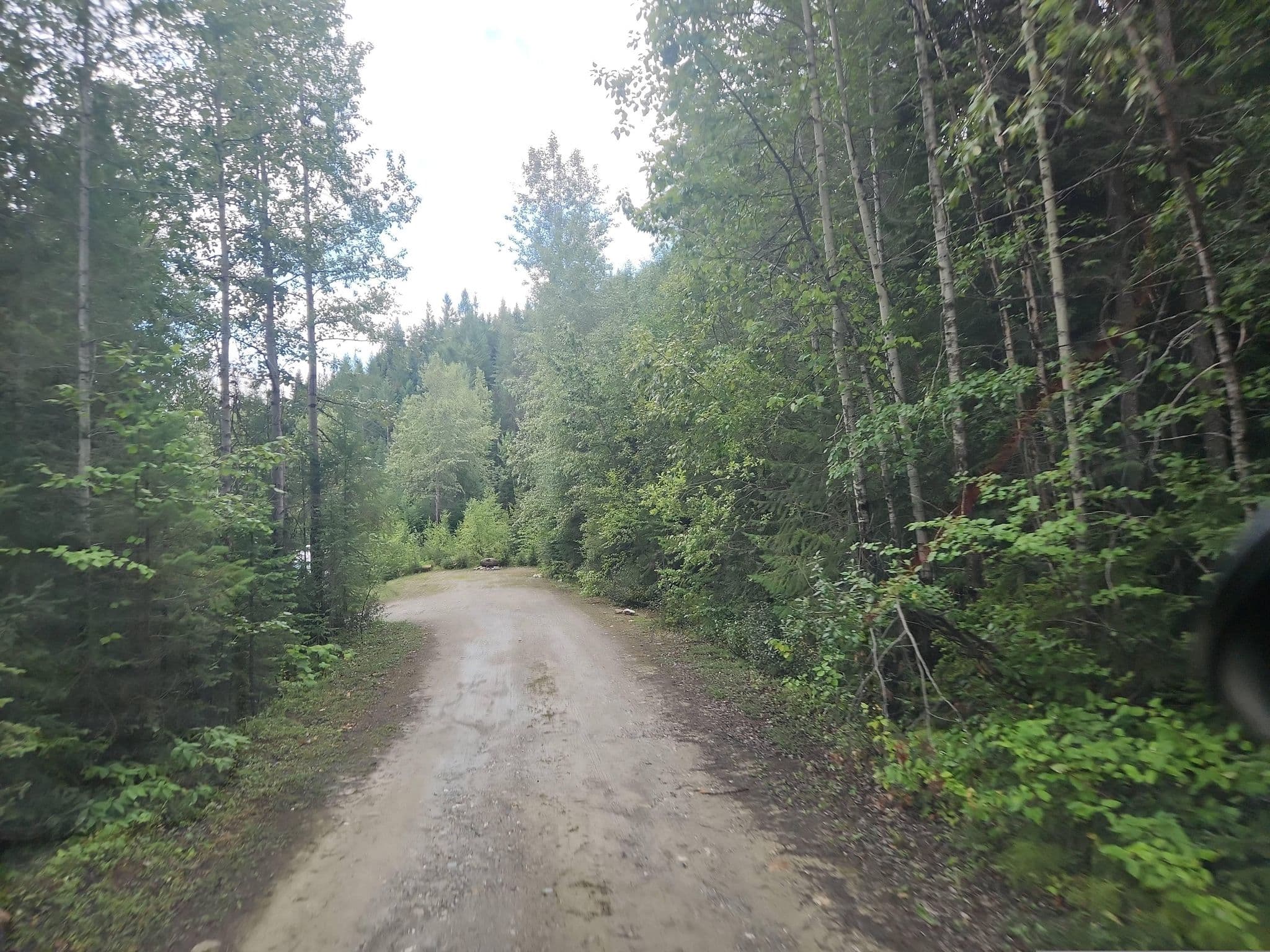 Street view near Fraser Creek Recreation Site, Golden