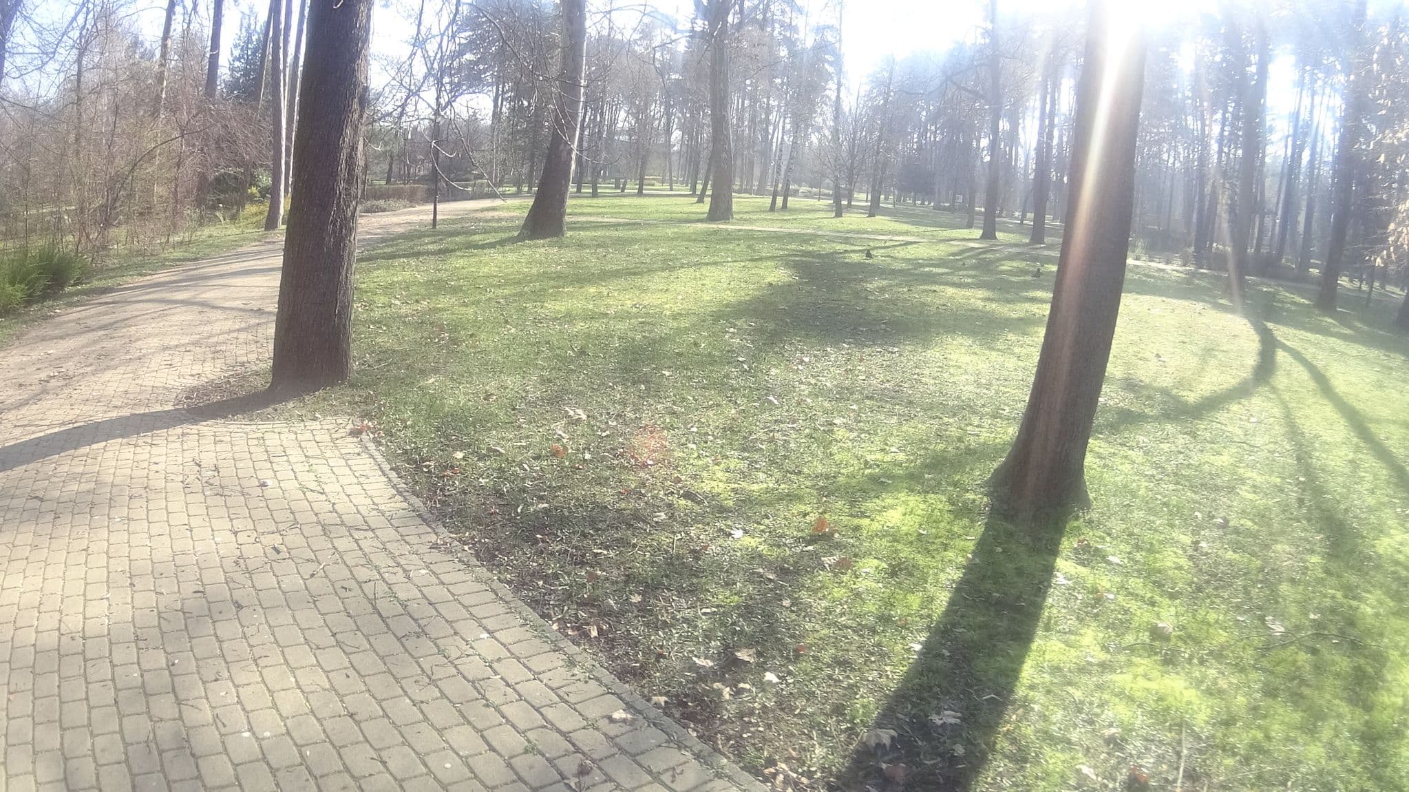 Street view near Krúdy Étterem és Panzió, Siófok — © tamaes (CC BY-SA · Mapillary)