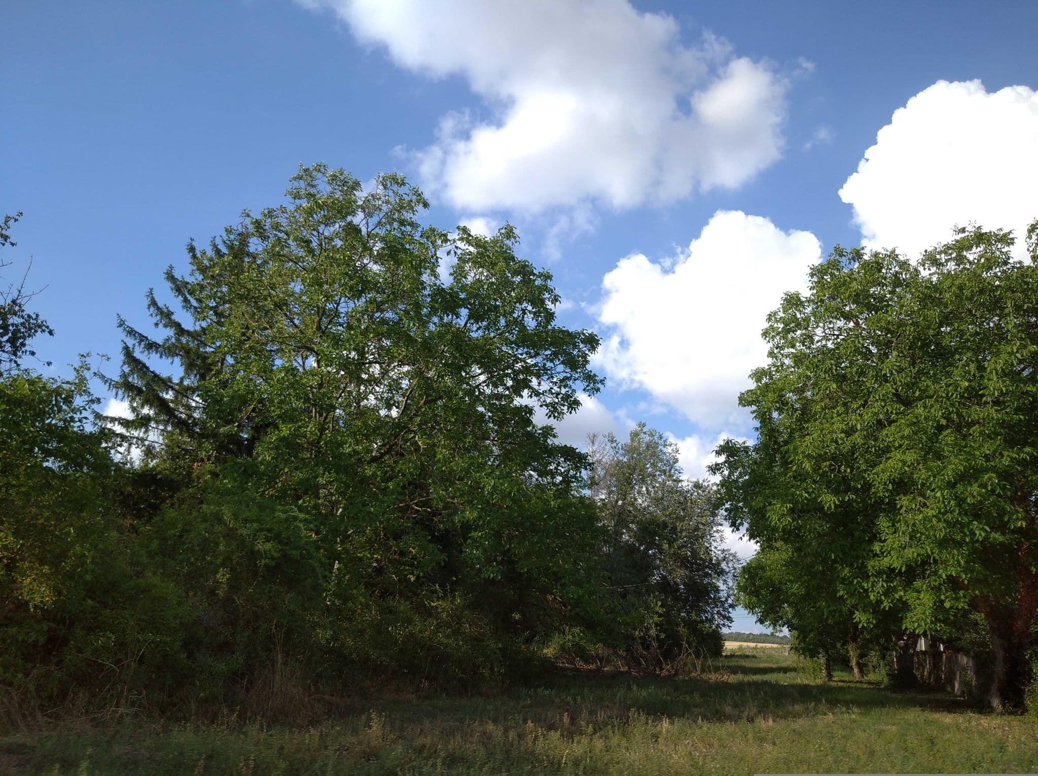Street view near Dewfah Recreation Center, Balatonkenese — © grozsa11 (CC BY-SA · Mapillary)