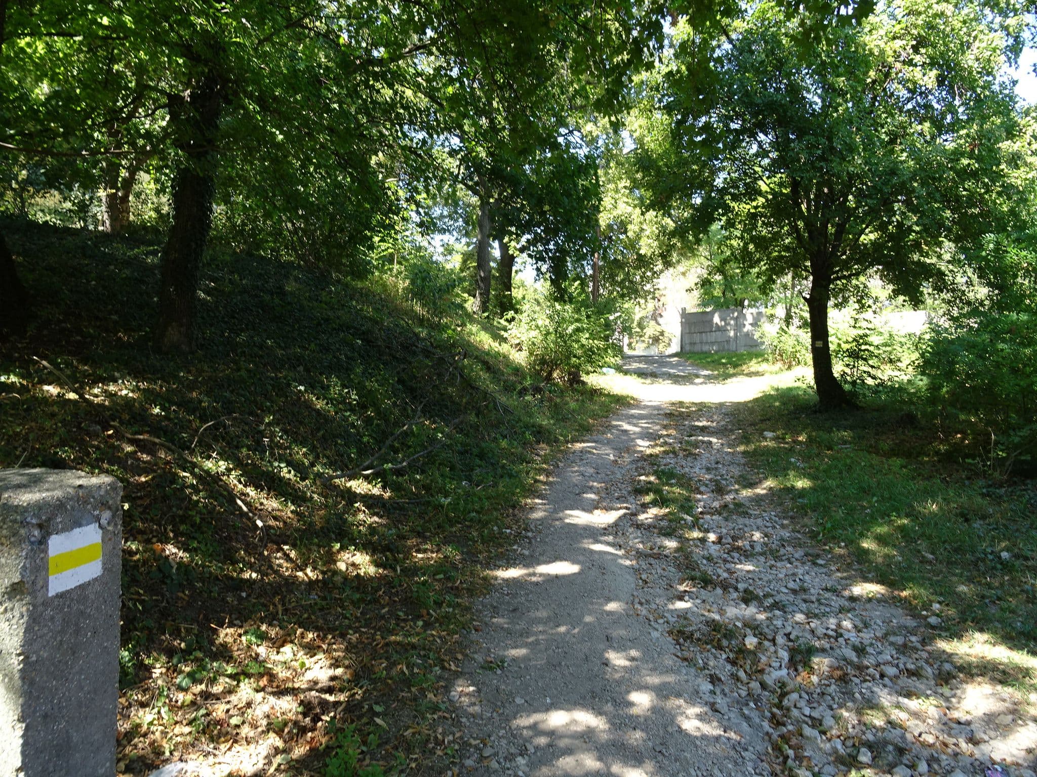 Street view near Pe-Ki Apartman Várpalota, Várpalota — © izsolt (CC BY-SA · Mapillary)