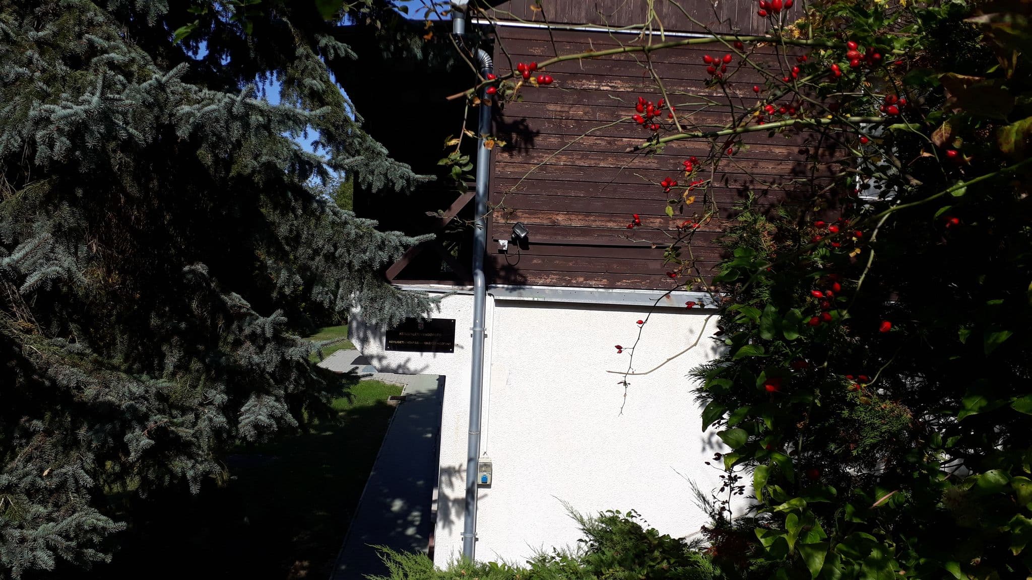 Street view near Adyligeti pihenőhaz, Remetekertváros — © vasony (CC BY-SA · Mapillary)