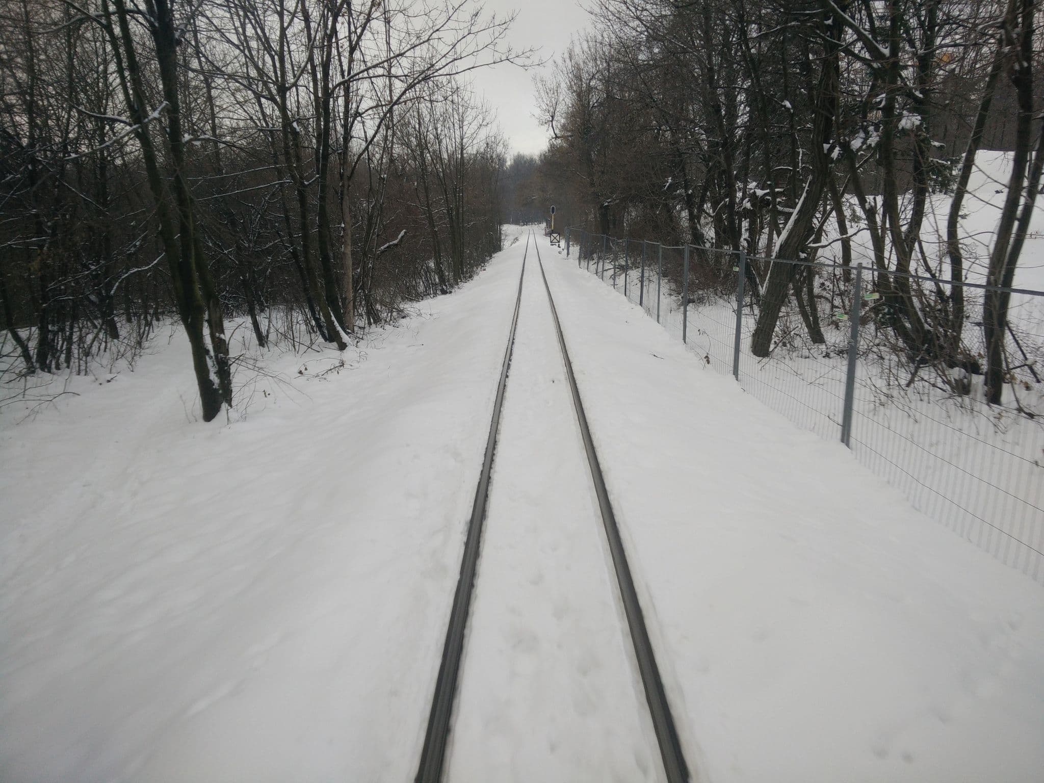 Street view near Hotel Olimpia, Zugliget — © leveskockaa (CC BY-SA · Mapillary)