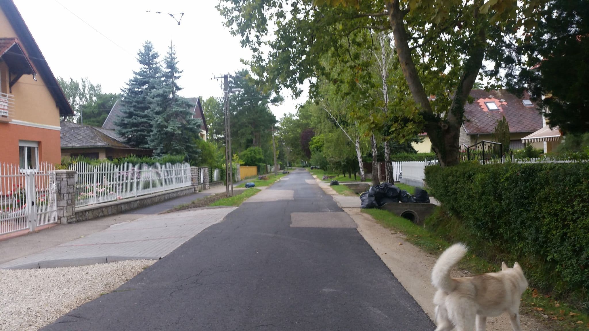 Street view near Villa Gabriella, Siófok — © hmartin (CC BY-SA · Mapillary)