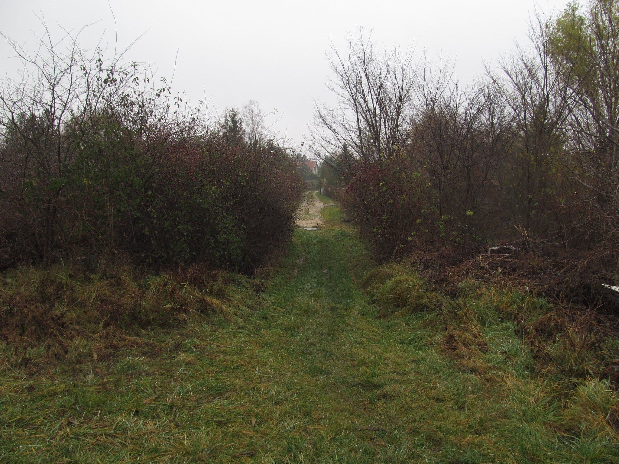 Street view near fuzfa vendeghaz, Fehérvárcsurgó — © utvonalfelmeresek (CC BY-SA · Mapillary)