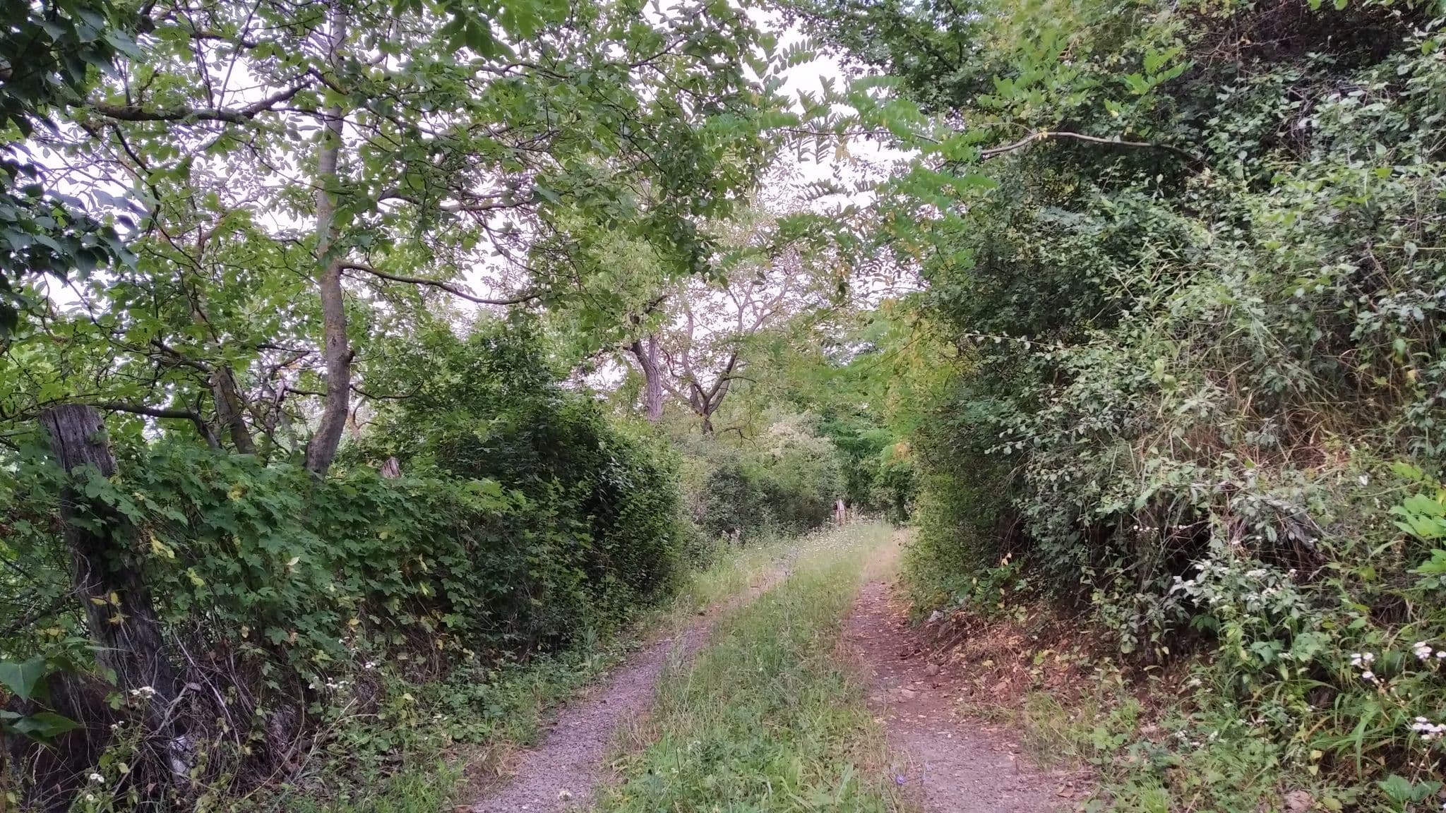 Street view near Vándor Székely Vendégház, Szob — © grozsa11 (CC BY-SA · Mapillary)