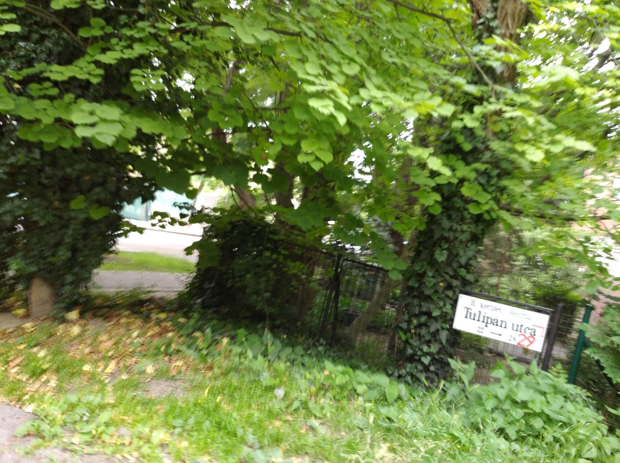 Street view near Kaldor Miklos Kollegium, Budapest II. kerület — © grozsa11 (CC BY-SA · Mapillary)