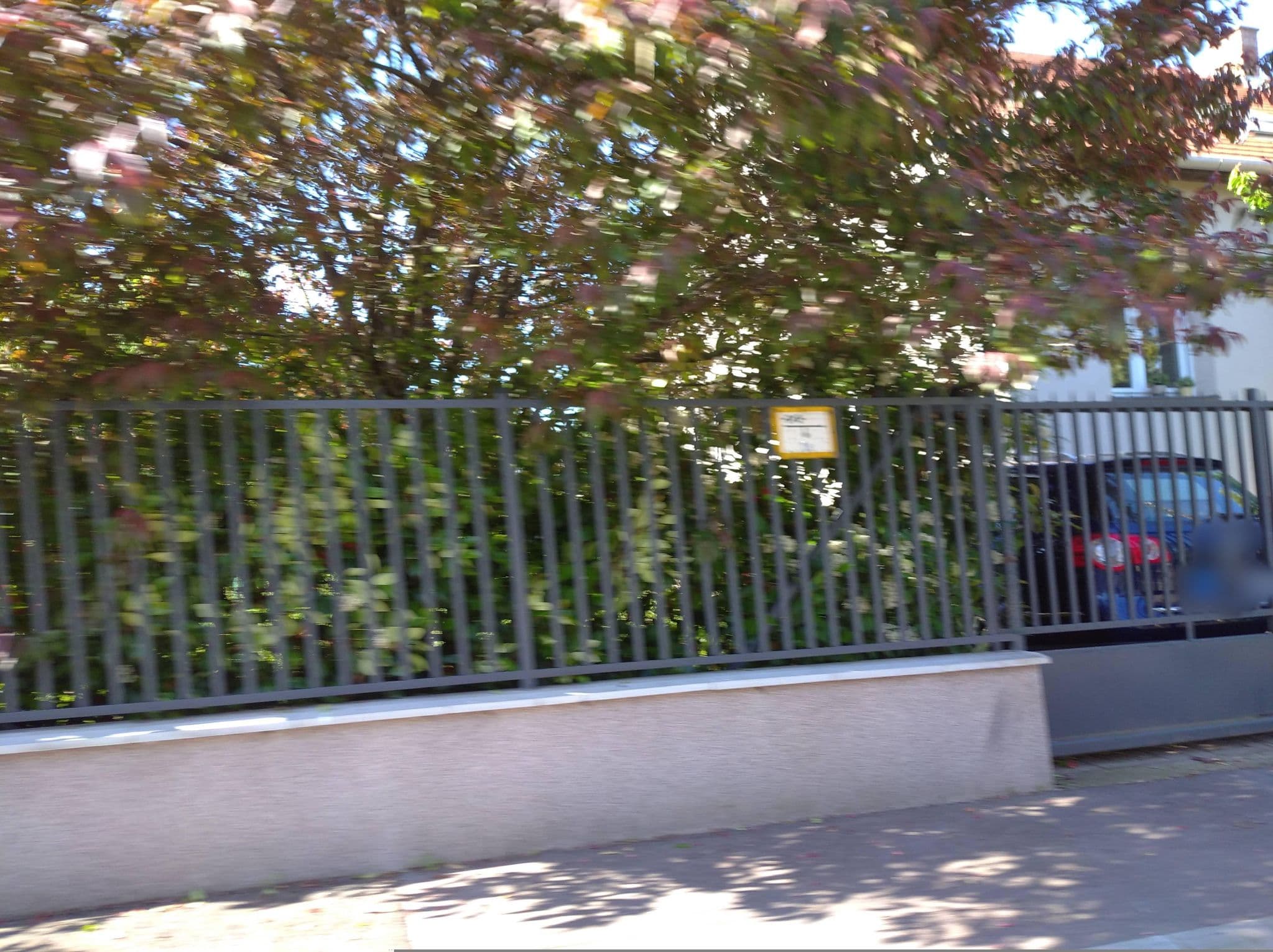 Street view near Orsika House, Csillaghegy — © grozsa11 (CC BY-SA · Mapillary)