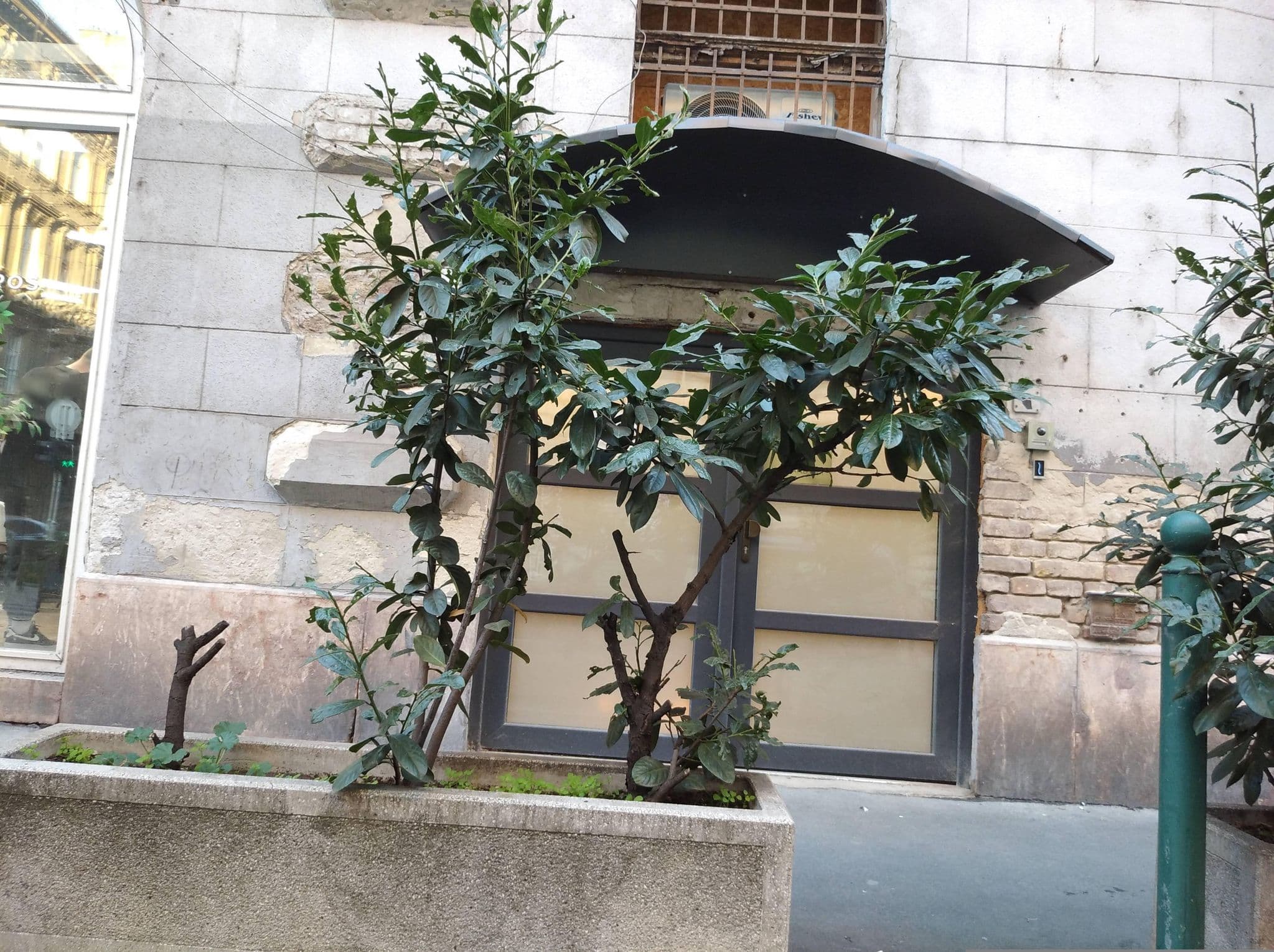 Street view near CoolPads apartments, Budapest VI. kerület — © grozsa11 (CC BY-SA · Mapillary)
