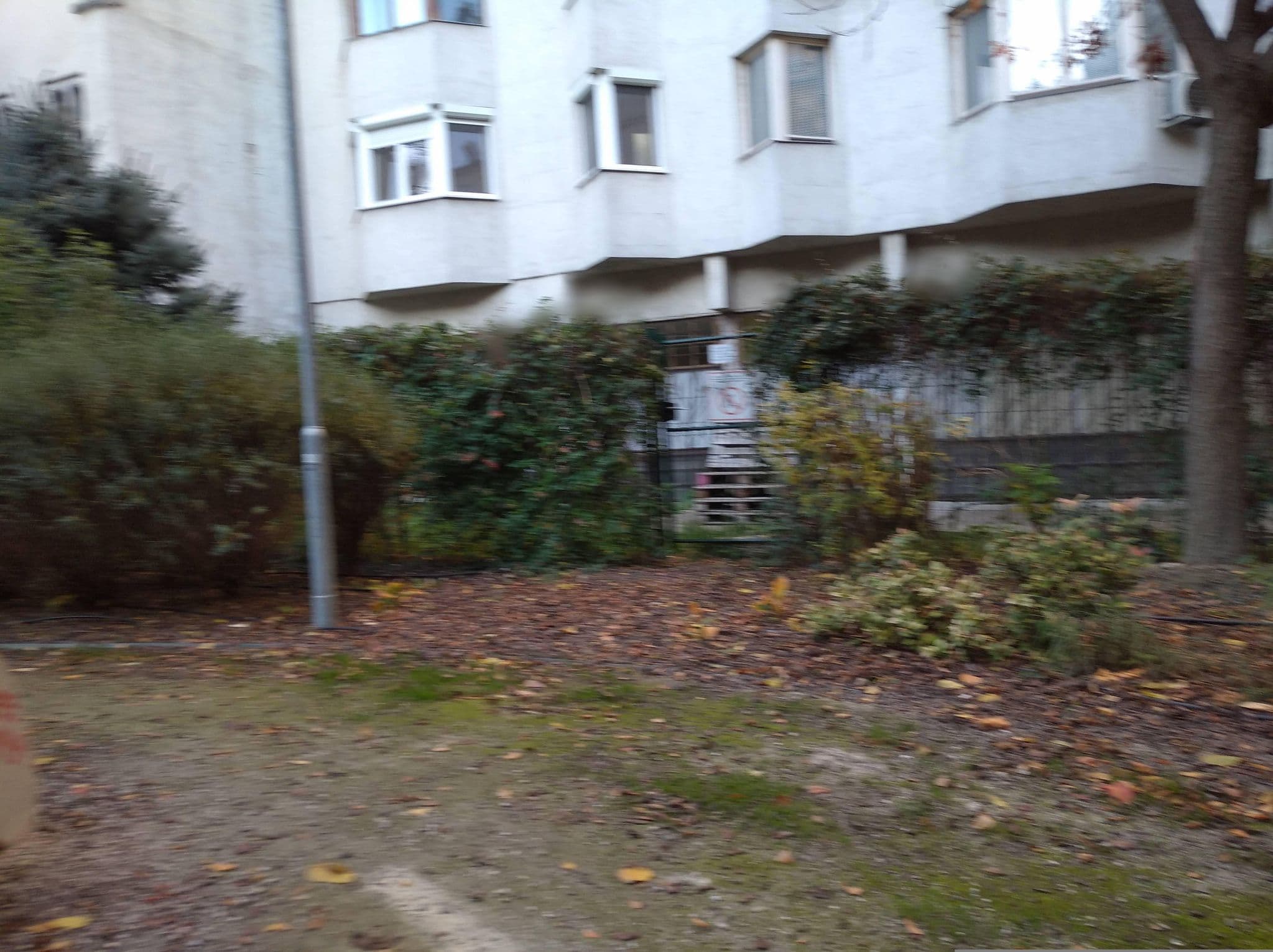 Street view near Kings Hotel, Budapest VI. kerület — © grozsa11 (CC BY-SA · Mapillary)