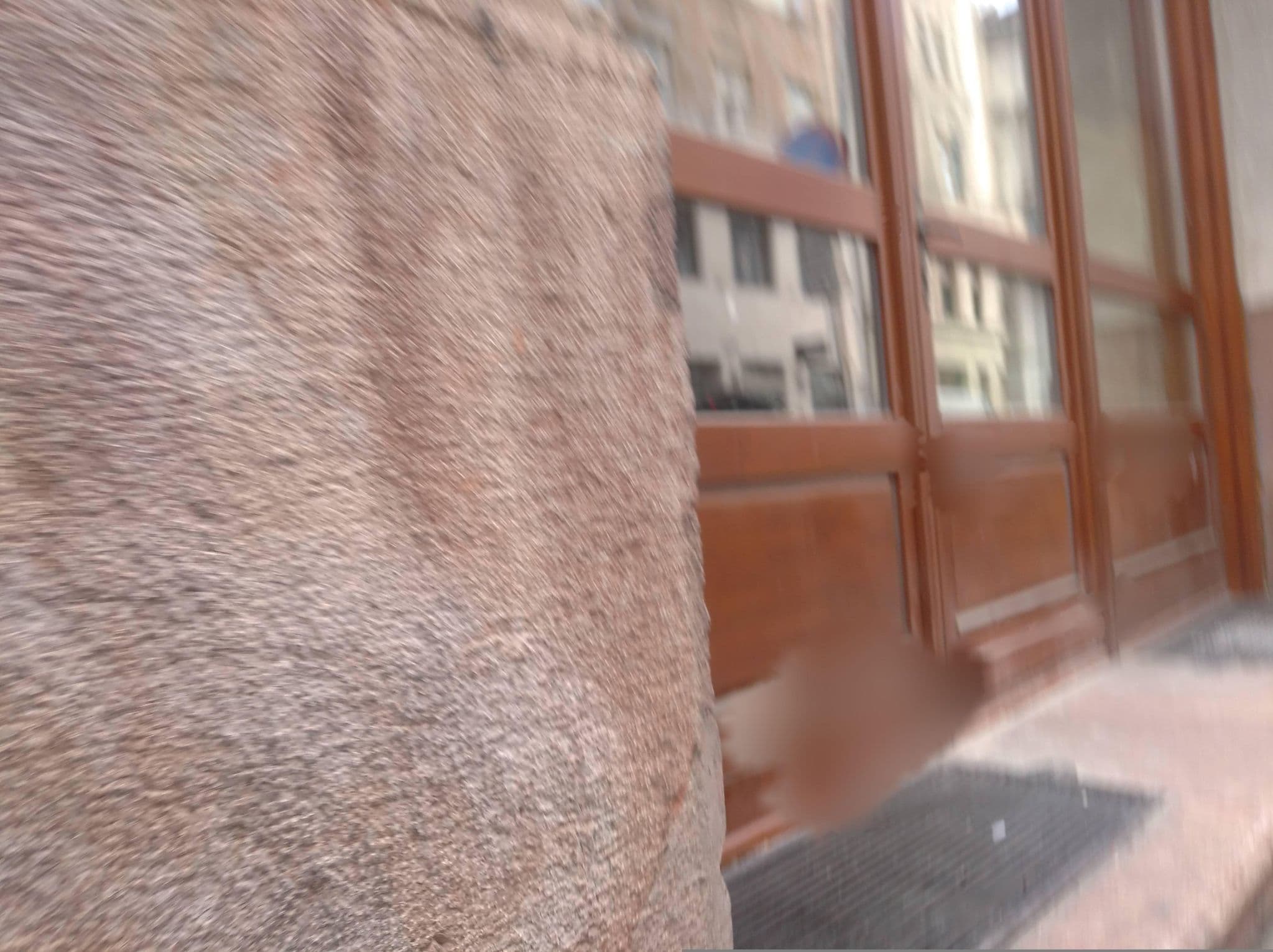 Street view near Elite Apartments, Palotanegyed — © grozsa11 (CC BY-SA · Mapillary)