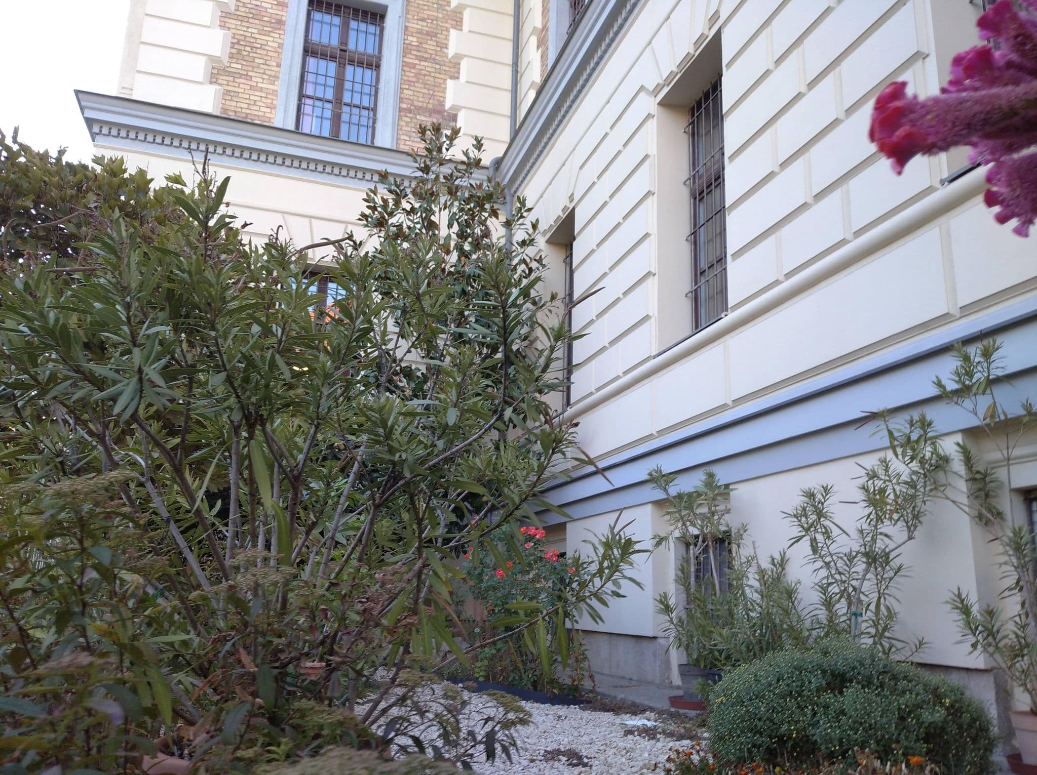 Street view near Orphanage hostel, Erzsébetváros — © grozsa11 (CC BY-SA · Mapillary)