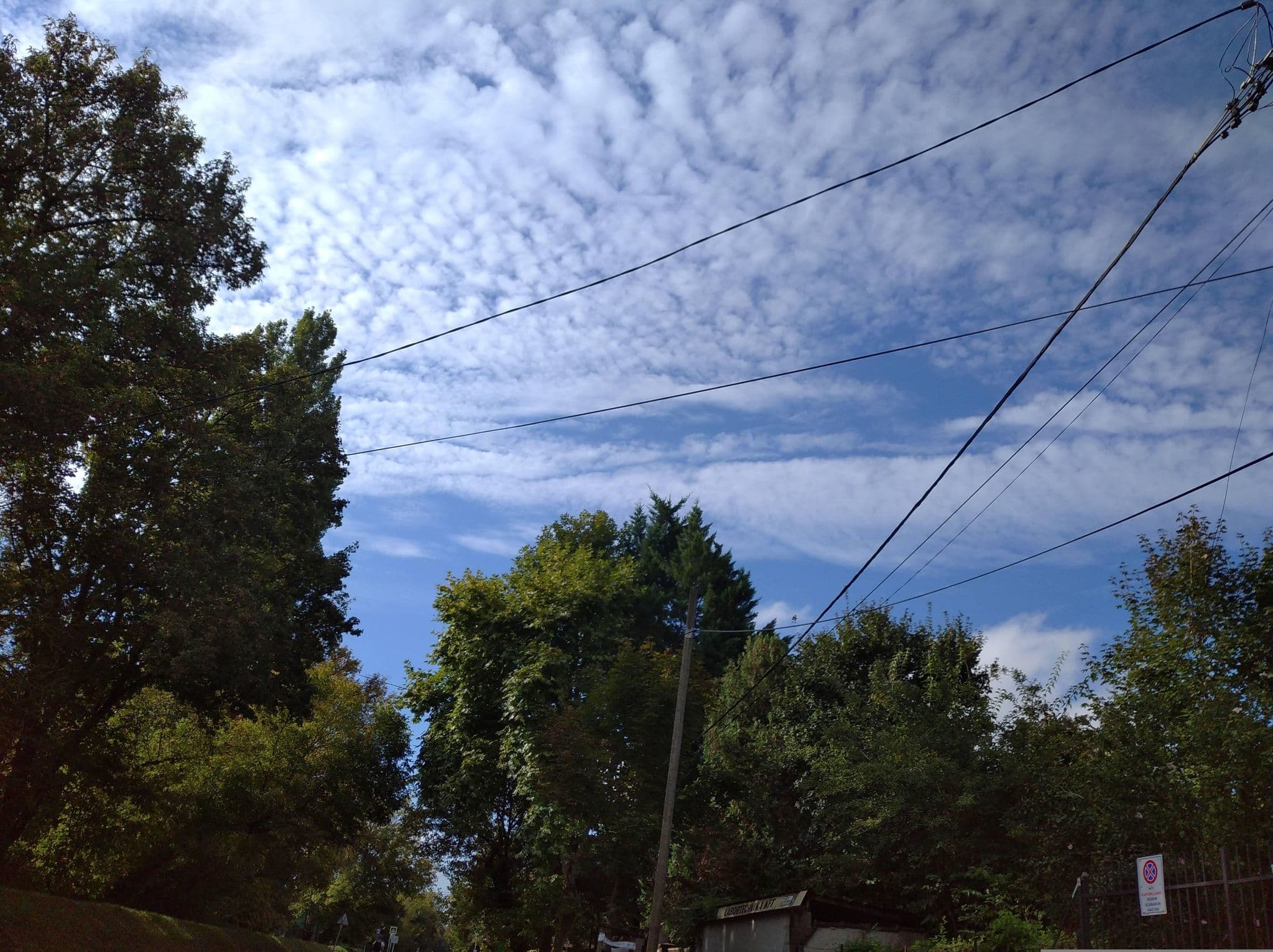 Street view near EGIS Vizisporttelep, Csillaghegy — © grozsa11 (CC BY-SA · Mapillary)