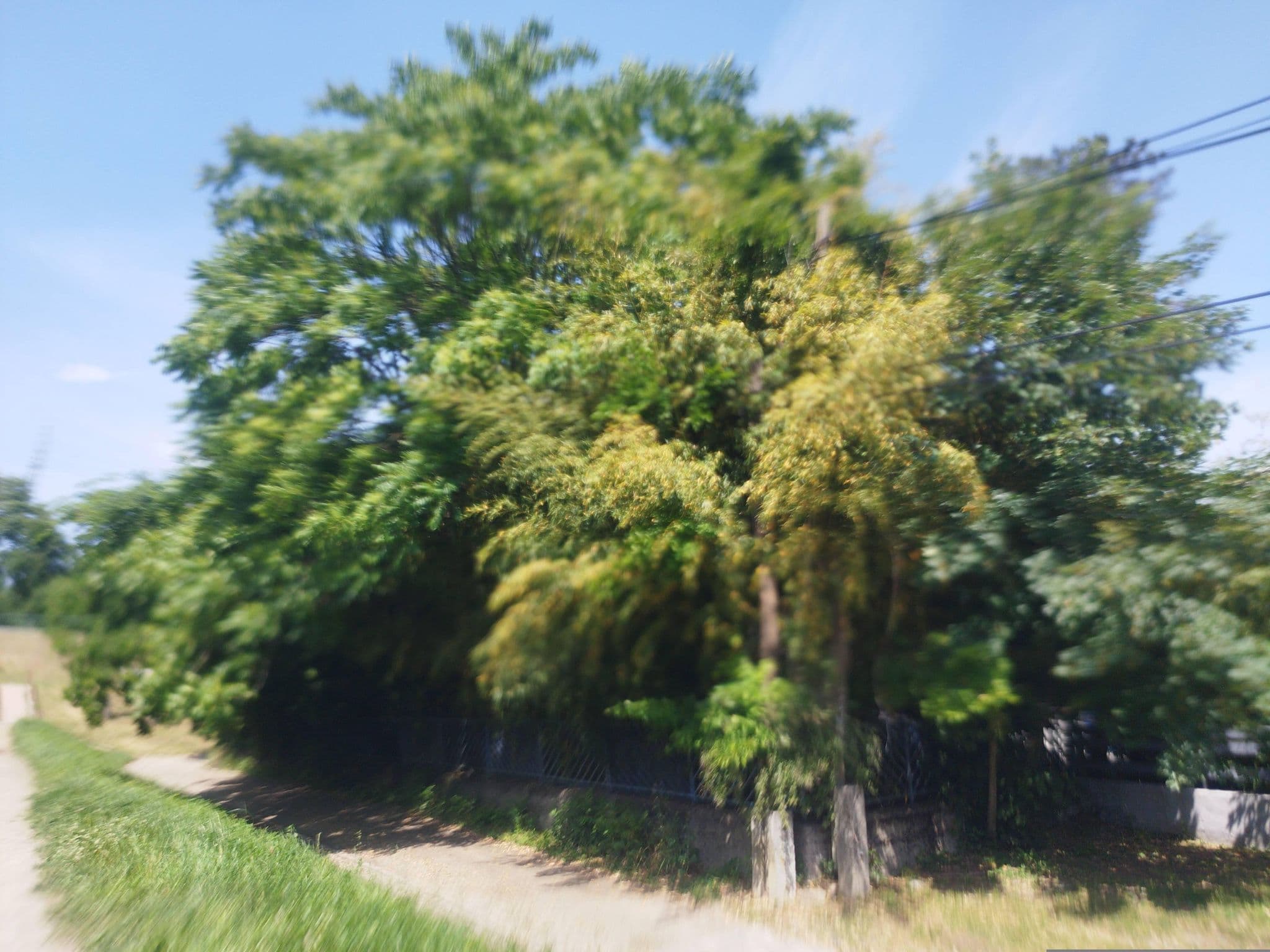 Street view near LEHÁR Ifjúsági Szálló (JEKA), Tahitótfalu — © grozsa11 (CC BY-SA · Mapillary)