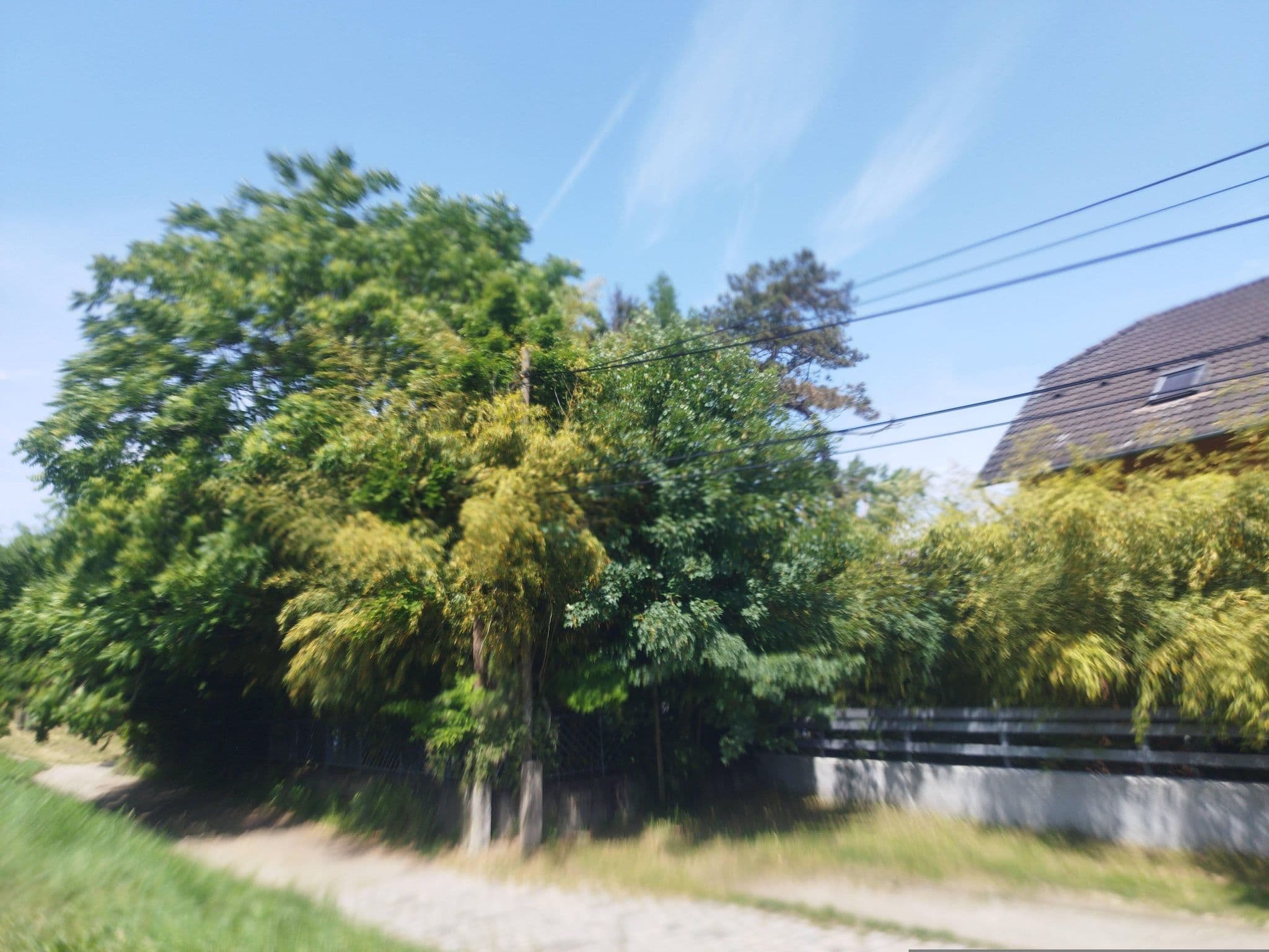 Street view near Lehár Kamer 16, Tahitótfalu — © grozsa11 (CC BY-SA · Mapillary)