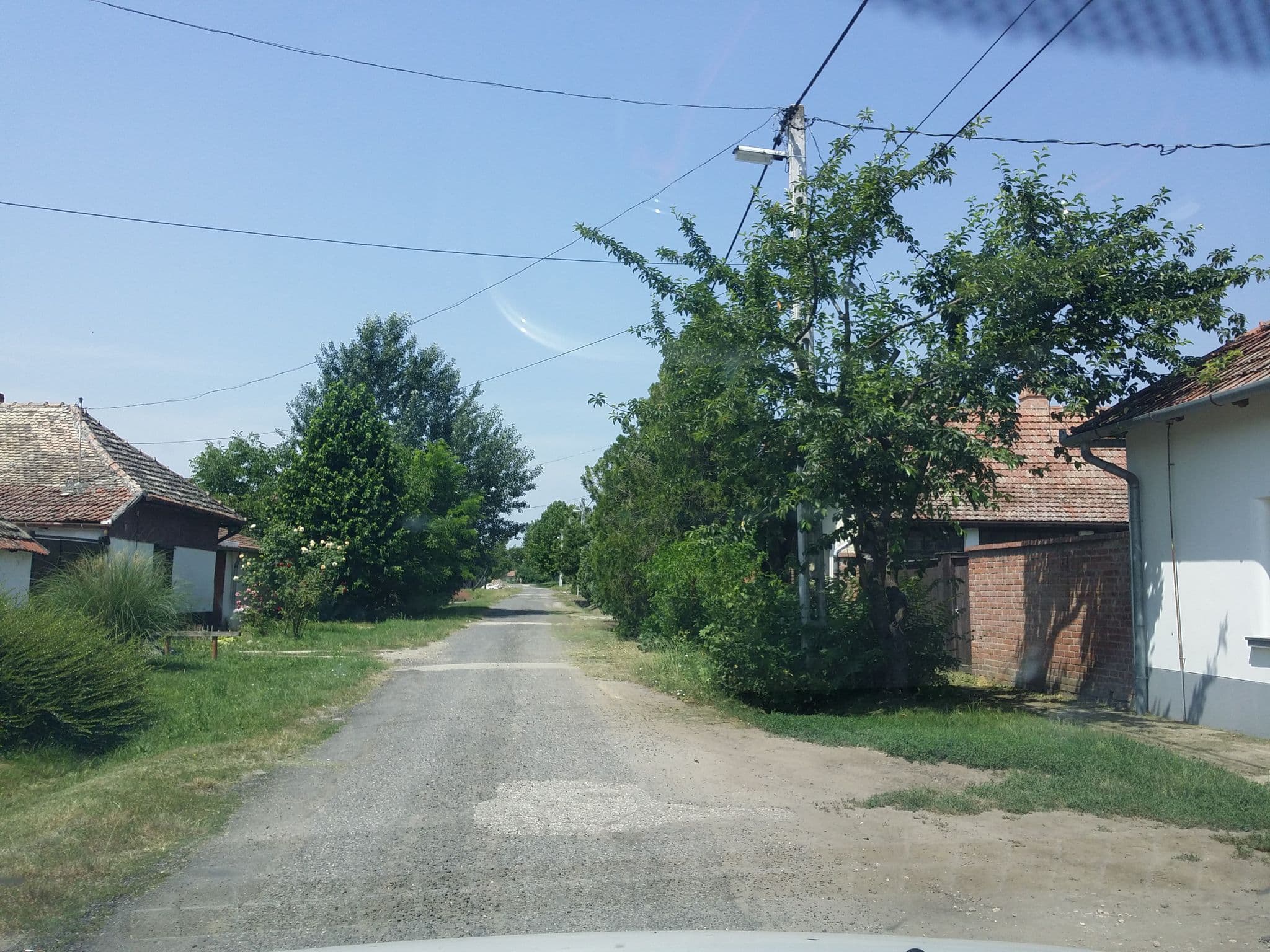 Street view near Rigófütty Vendégház, Tiszaalpár — © utvonalfelmeresek (CC BY-SA · Mapillary)