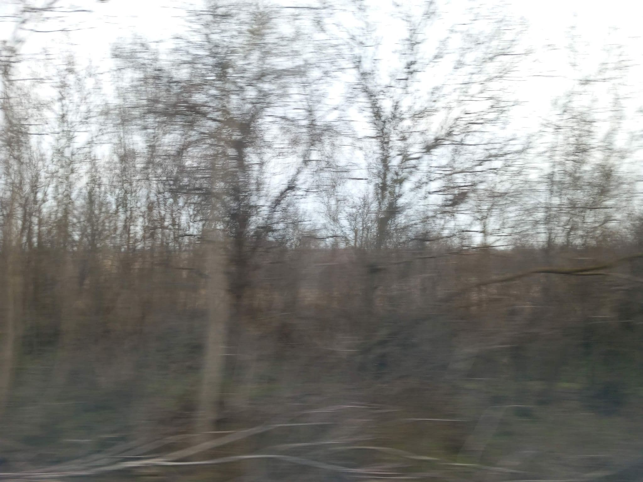 Street view near Kossuth Hotel, Cegléd — © grozsa11 (CC BY-SA · Mapillary)