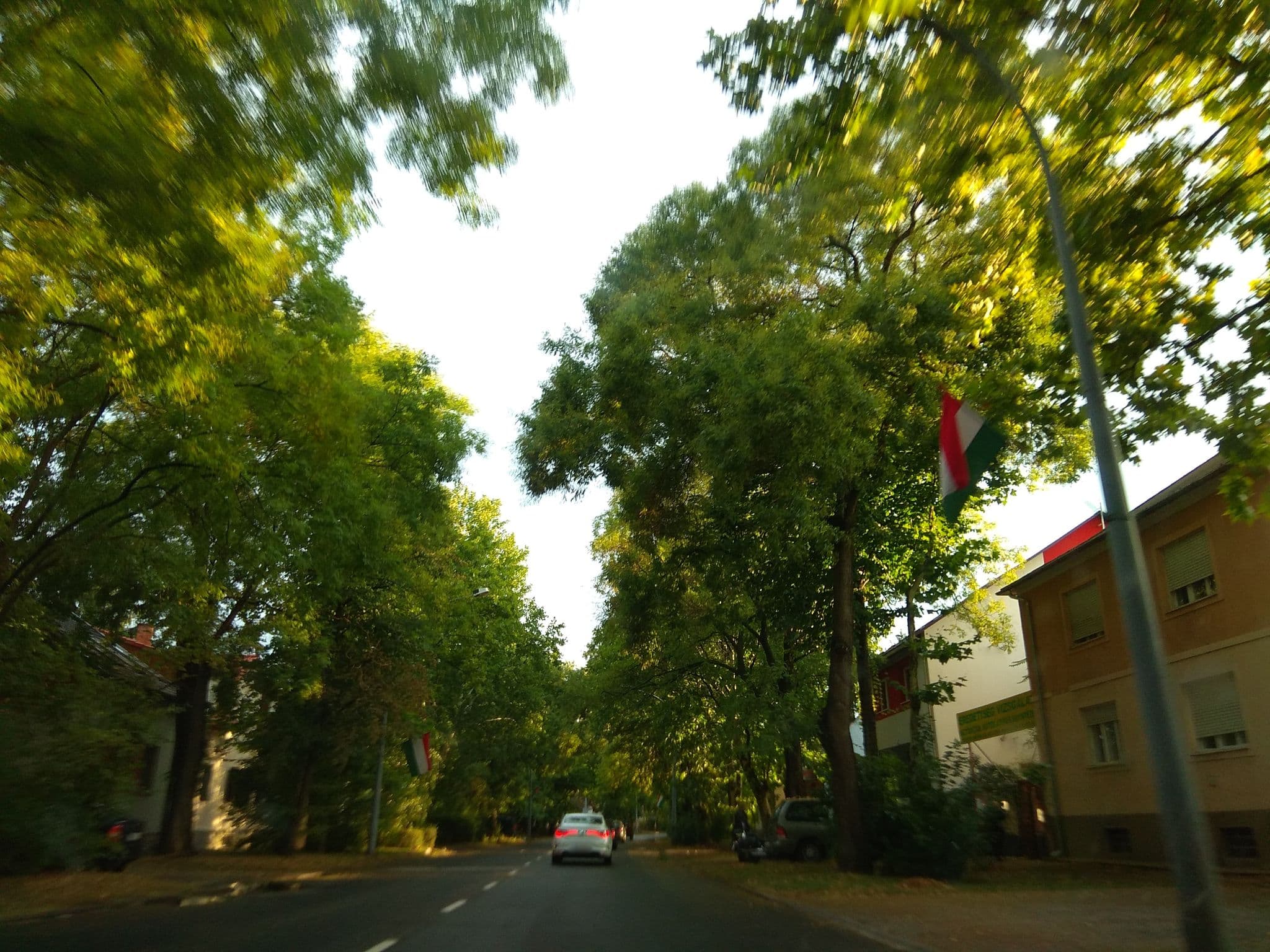 Street view near Belvárosi Vendégház, Martin Kertváros — © dyaz (CC BY-SA · Mapillary)