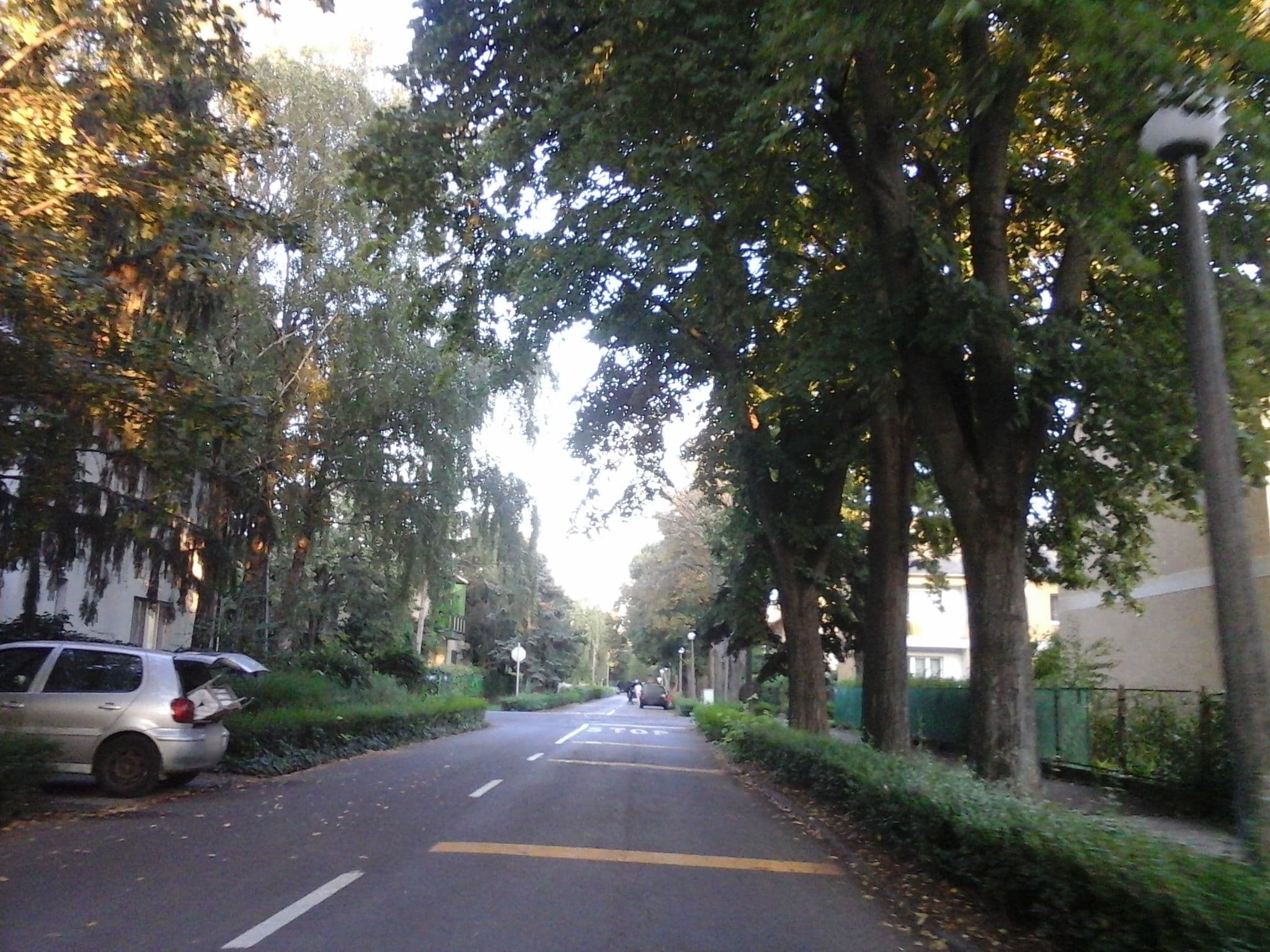 Street view near Magyar Apartman, Hajdúszoboszló — © czadzik (CC BY-SA · Mapillary)