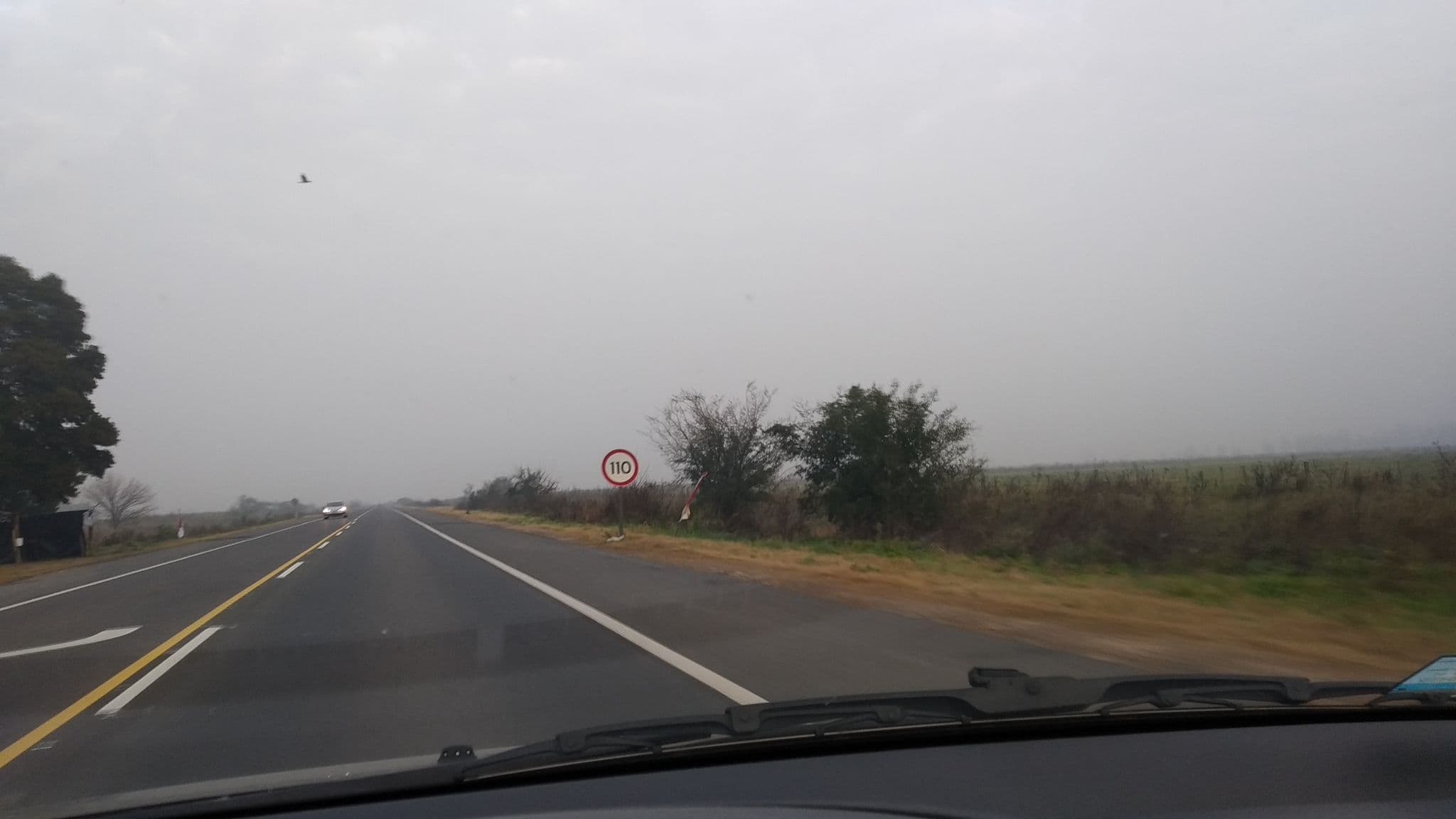 Street view near Granja Loma Verde, Coronel Brandsen — © nicfer (CC BY-SA · Mapillary)