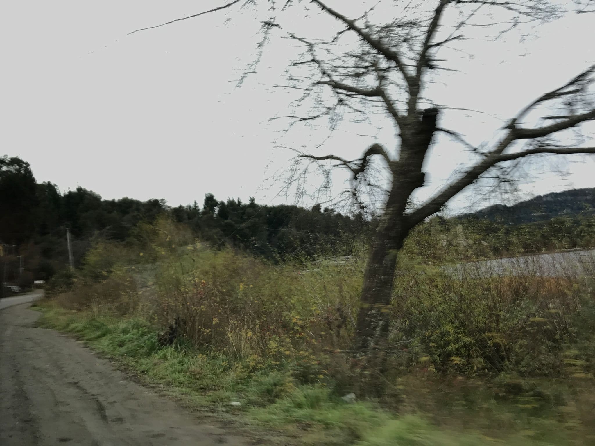 Street view near Piramides Andinas, San Carlos de Bariloche — © ejegg (CC BY-SA · Mapillary)